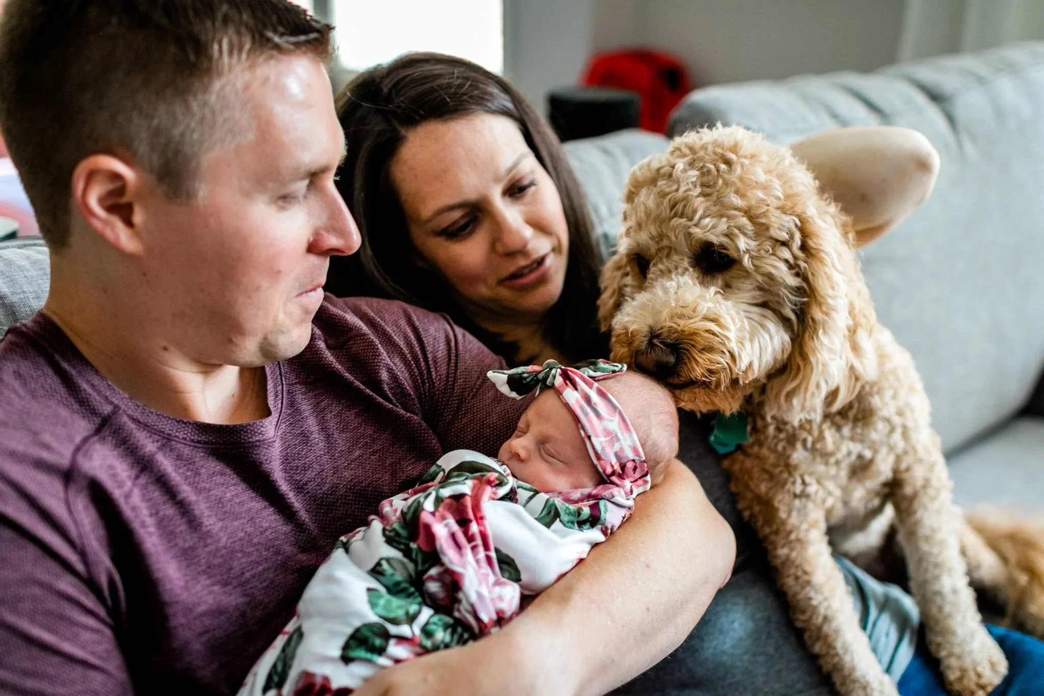 Hillsborough Newborn Photographer | By G. Lin Photography | Dog kissing baby on sofa