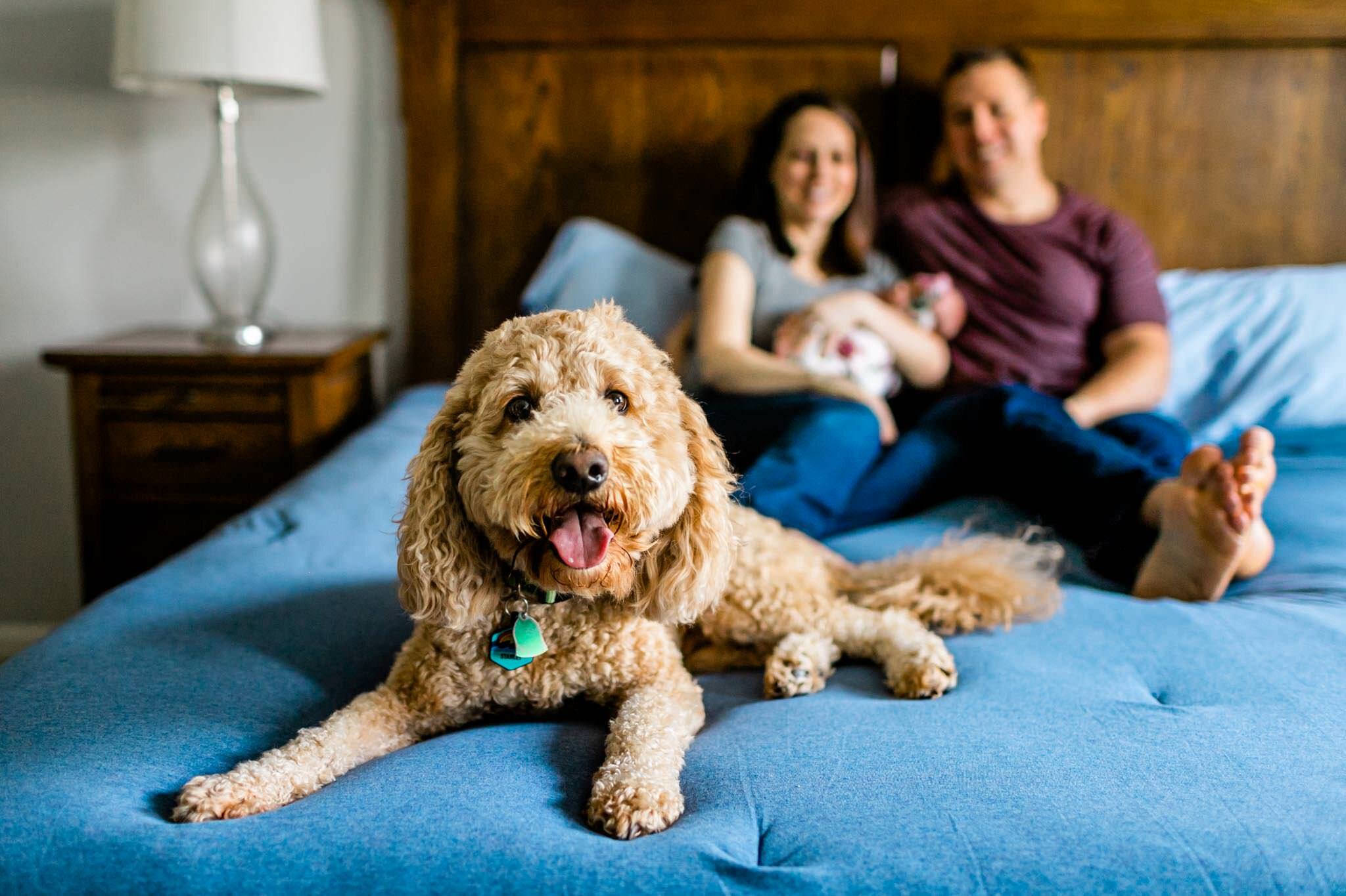 Hillsborough Newborn Photographer | By G. Lin Photography | Dog sitting on edge of bed