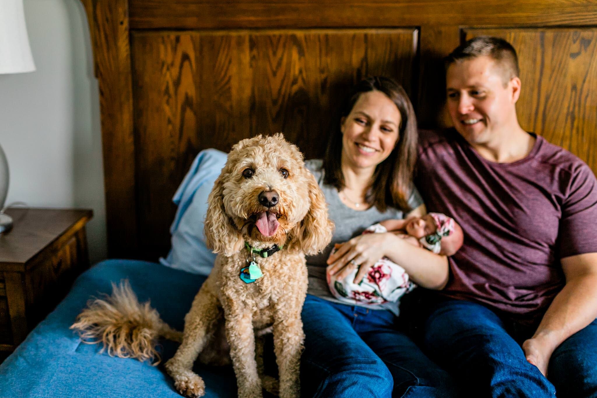 Hillsborough Newborn Photographer | By G. Lin Photography | Cute dog with family sitting on bed