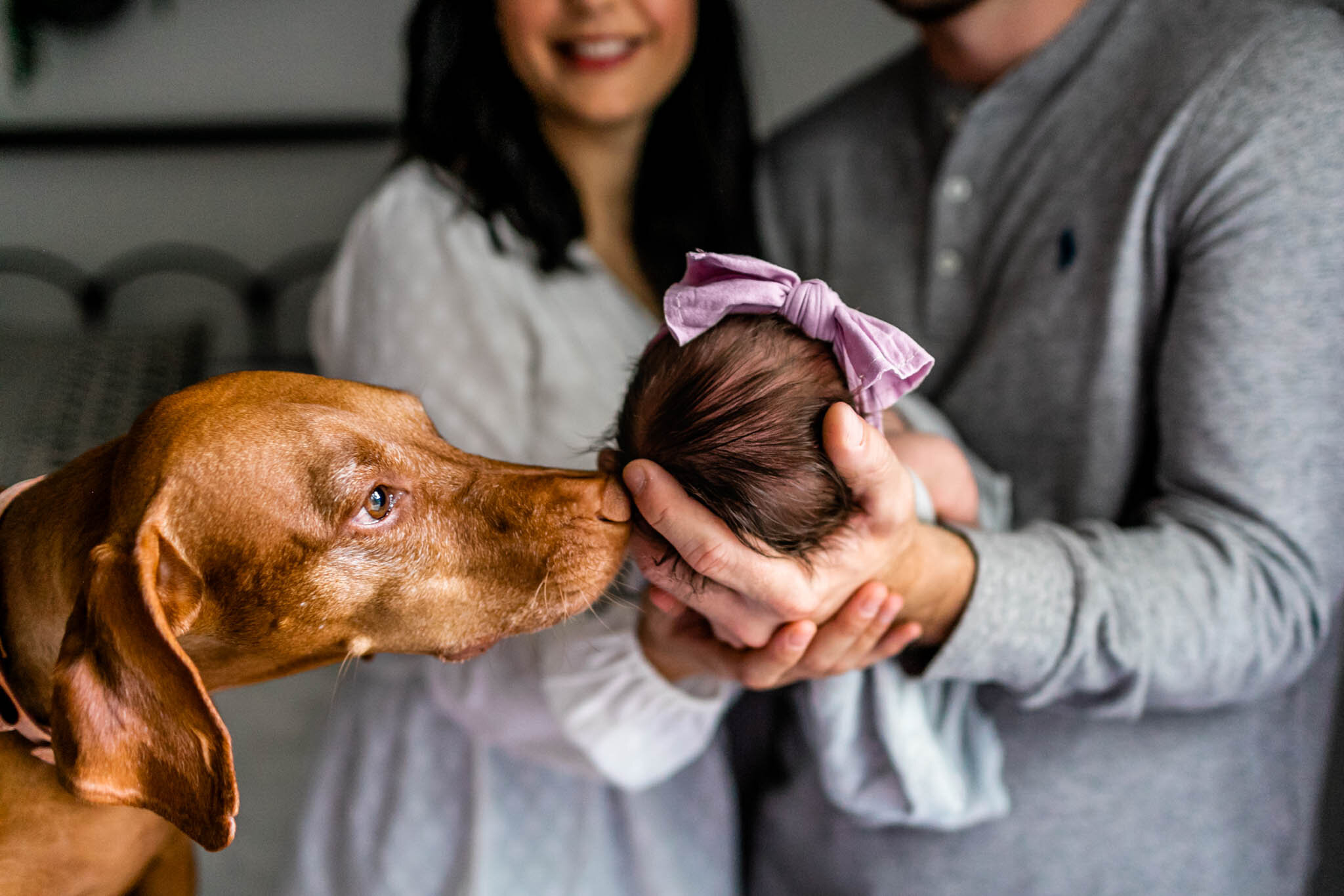 Charlotte Newborn Photographer | By G. Lin Photography | Dog sniffing baby