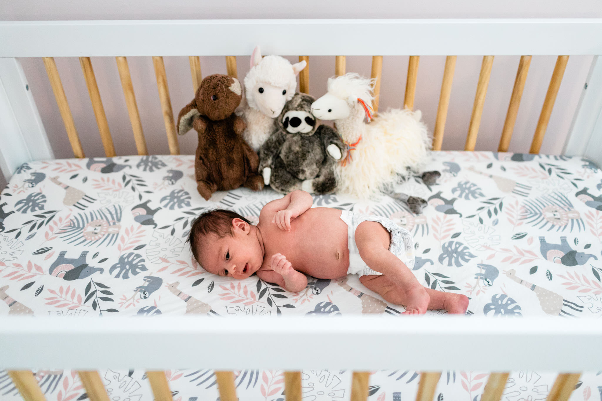 Charlotte Newborn Photographer | By G. Lin Photography | Baby girl sleeping in crib