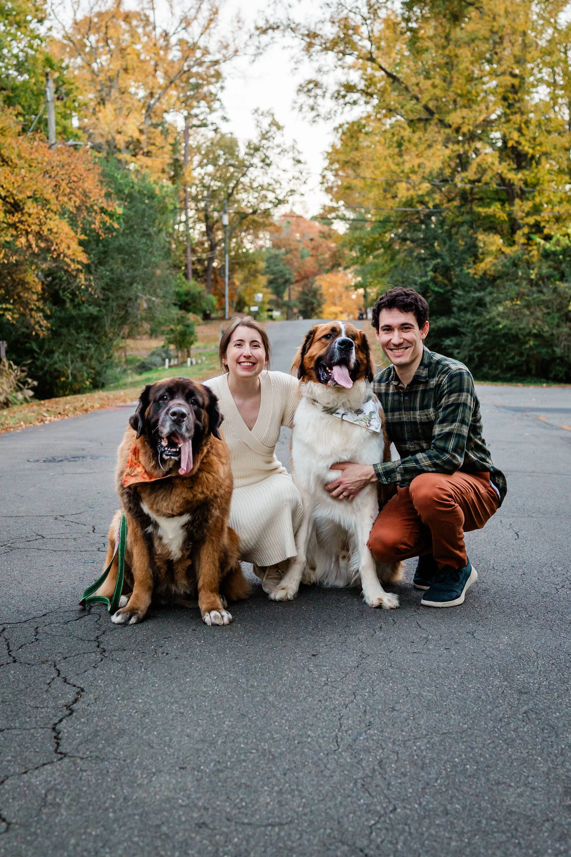 Big Dogs, Big Love | Durham Lifestyle Family Photographer