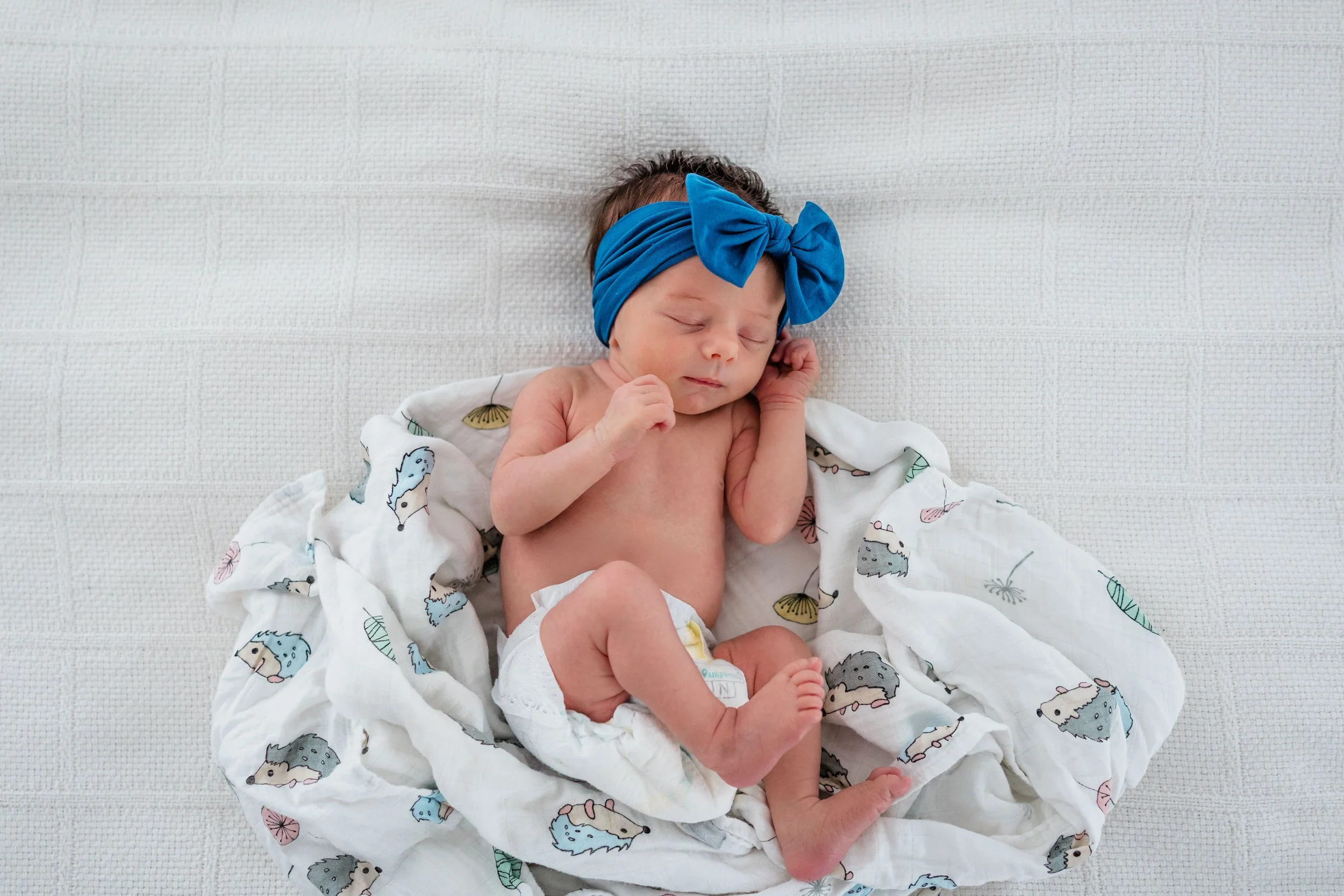 Welcoming a Sweet Baby Sister | Chapel Hill Newborn Photographer