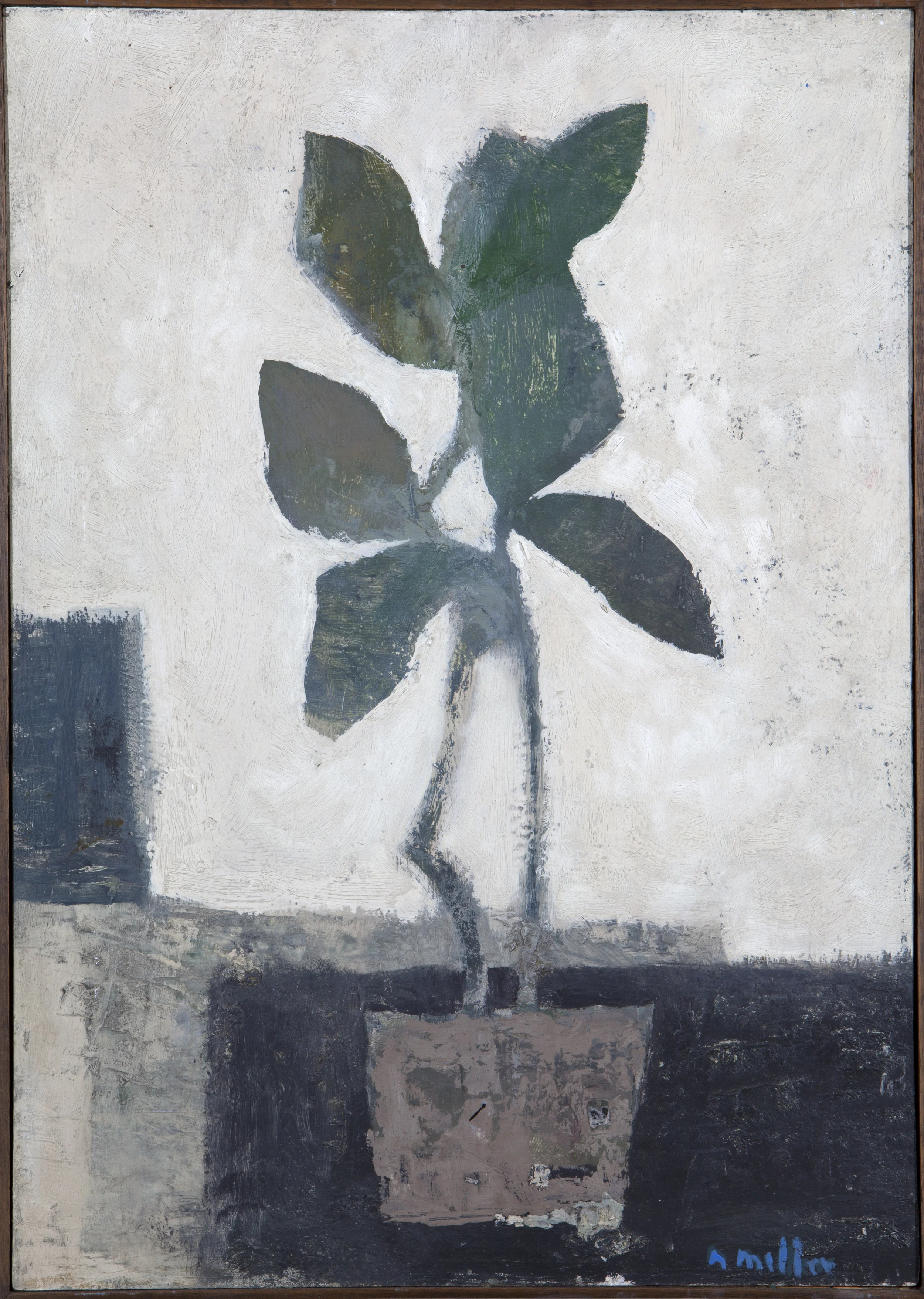  &nbsp;The Plant - 1972 - Oil on Board - 60 X 40 inches 