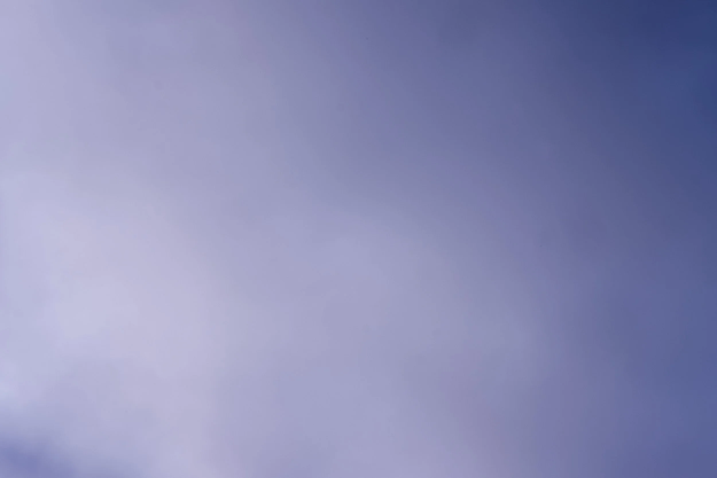 DSCF1553.jpg