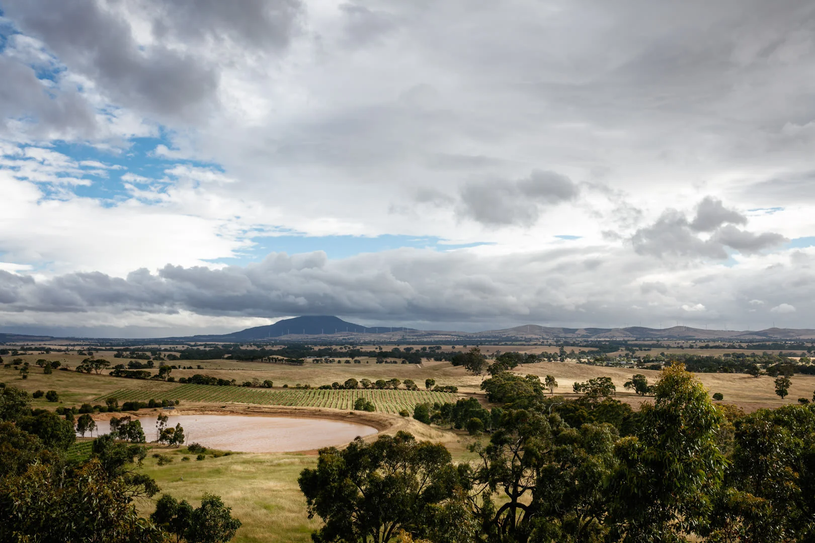 1080px Tony Evans Photo-Dog Rock Winery-7630.jpg