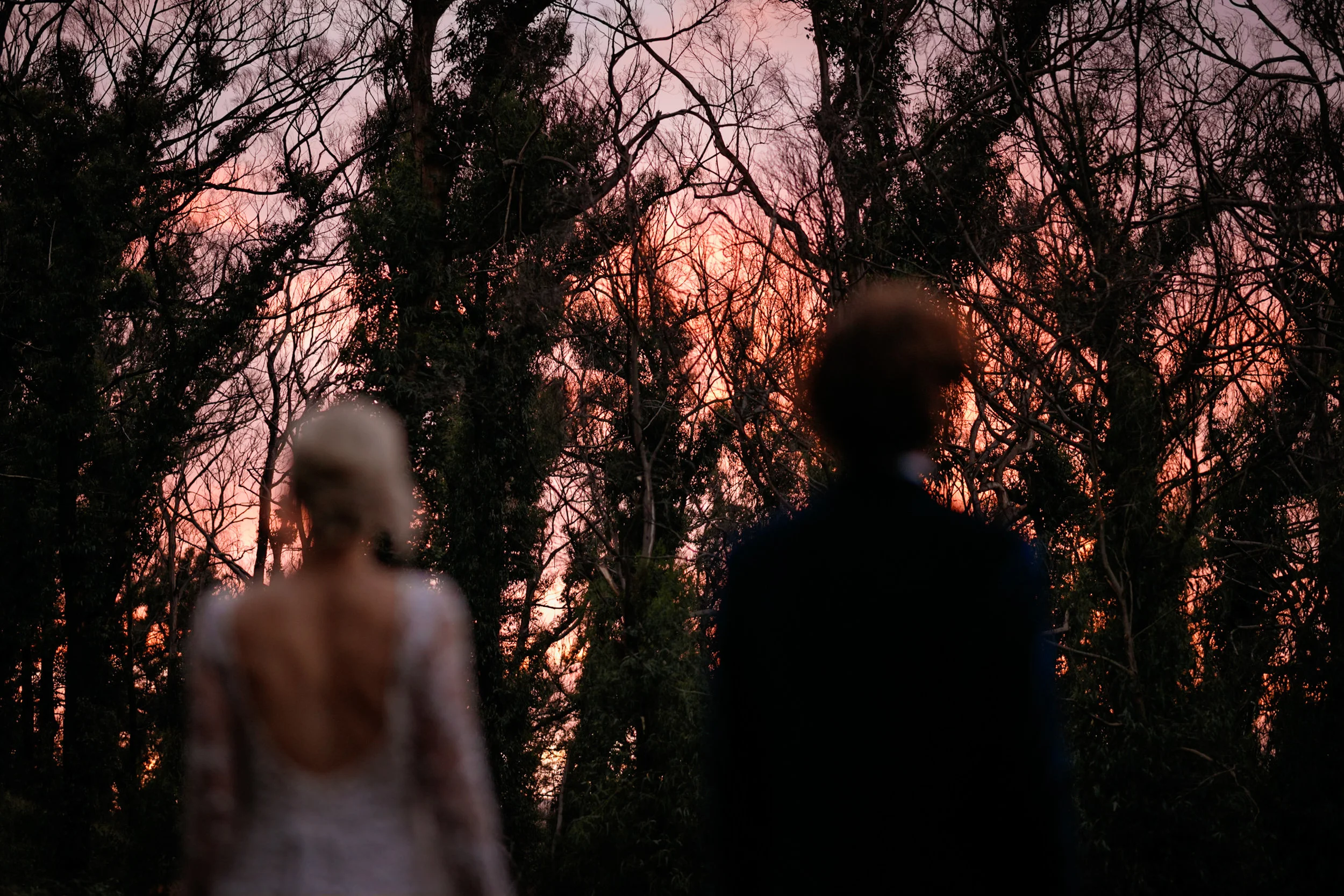 Wedding-EvansTony-7.jpg