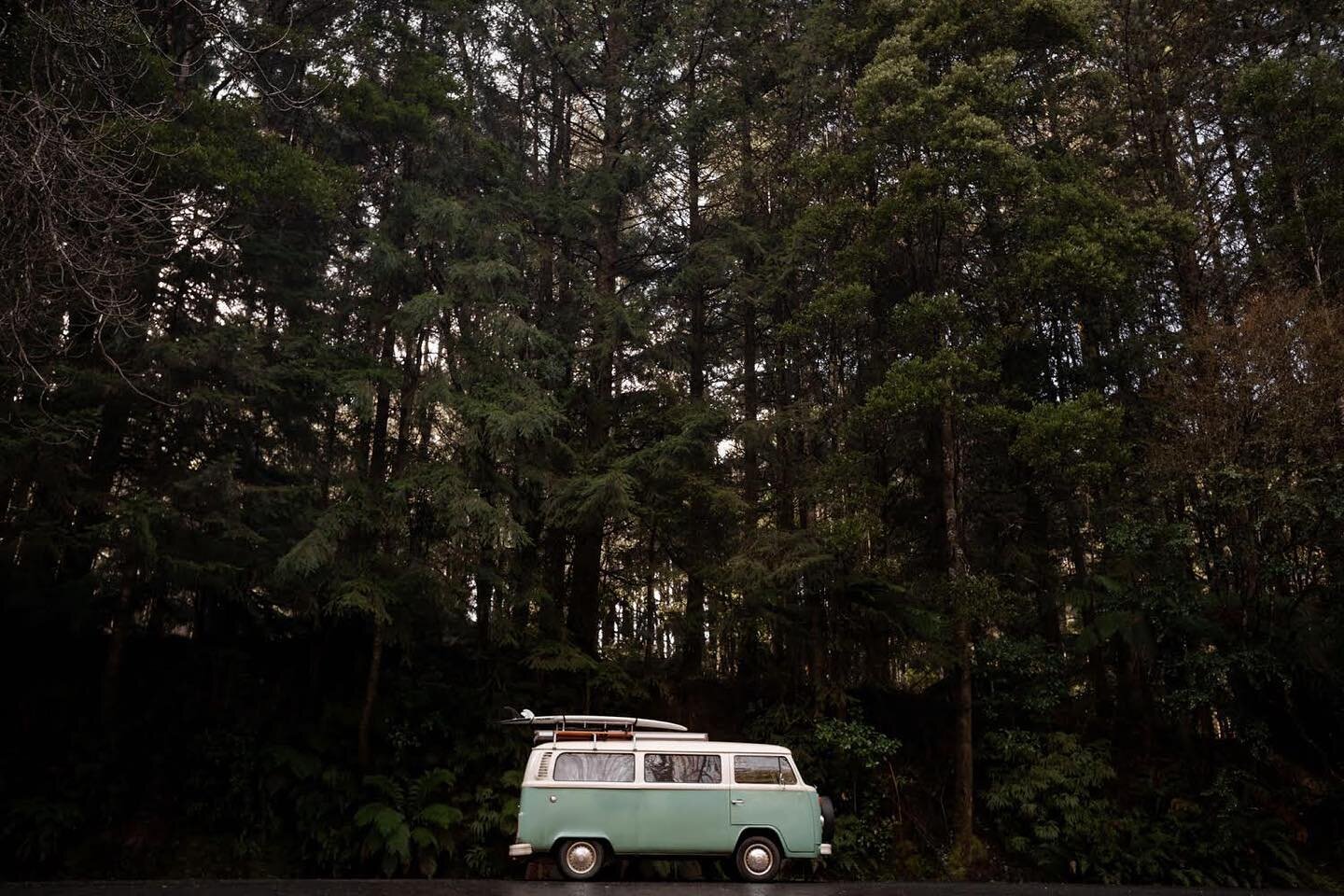 In between lockdowns last year I was lucky enough to borrow my mate's Kombi van and head into the Otways for a few nights. I love this part of Victoria so much. The dense forest, the winter light through the trees. Just being there makes me feel so c
