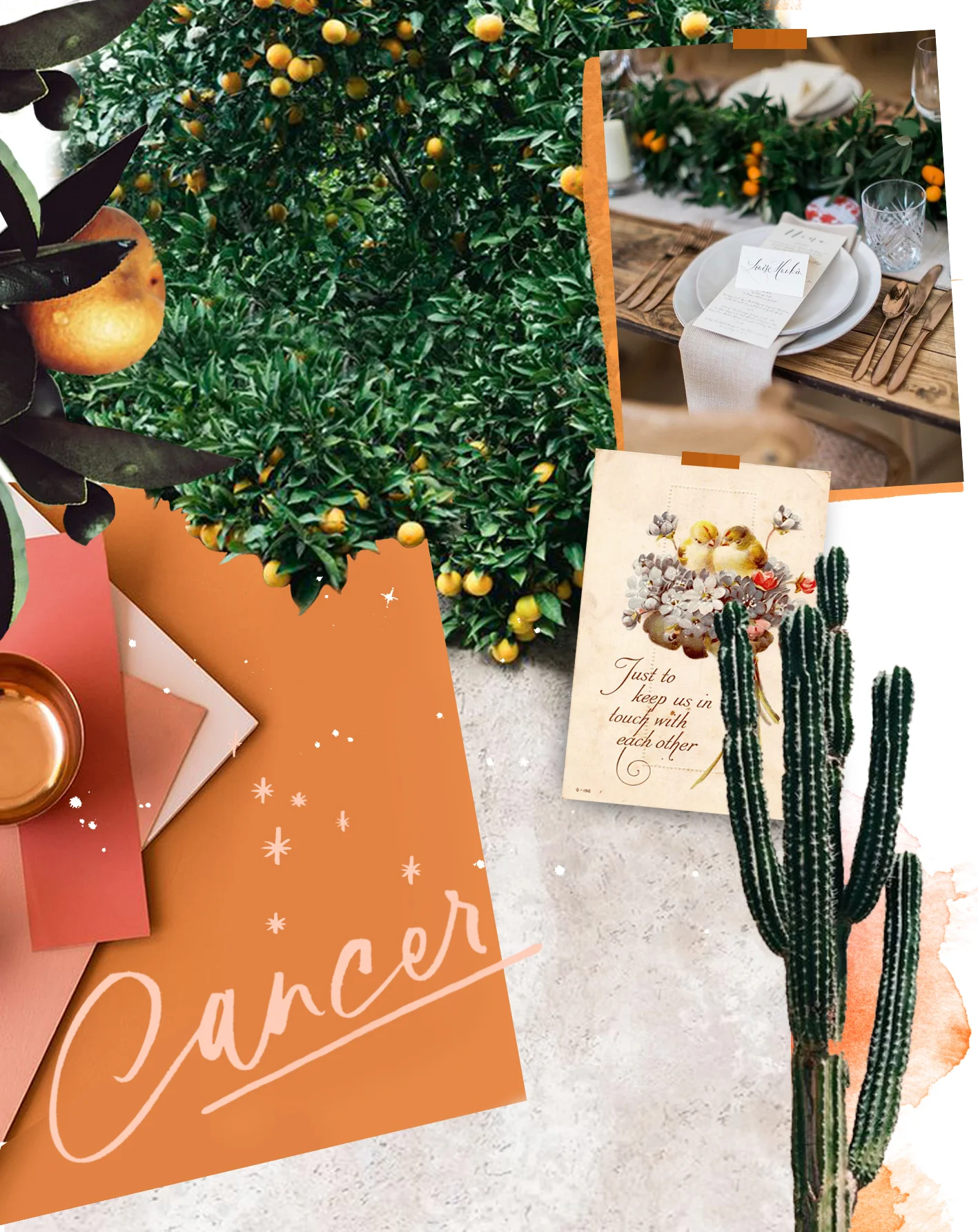 Photo Credit - Nicole Frazen , Elle Decor , Amy Fanton on JuneBug Weddings July sees the return of our Workshops! Did you see our announcement ? Don't worry if you missed it, there'll be a new another one coming very soon! Sign up to our newsletter to be the first to know. Here's to a Summer of sandy toes, salty hair and soaking up the sunshine. 