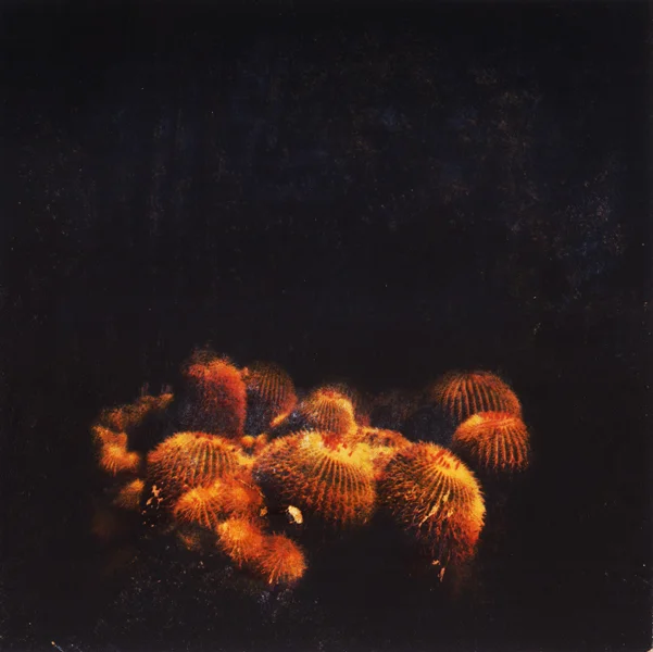   cacti - mixed media on wood  