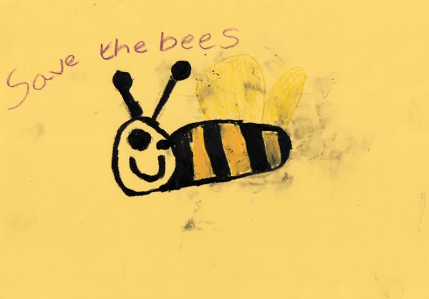 by Seren, age 6