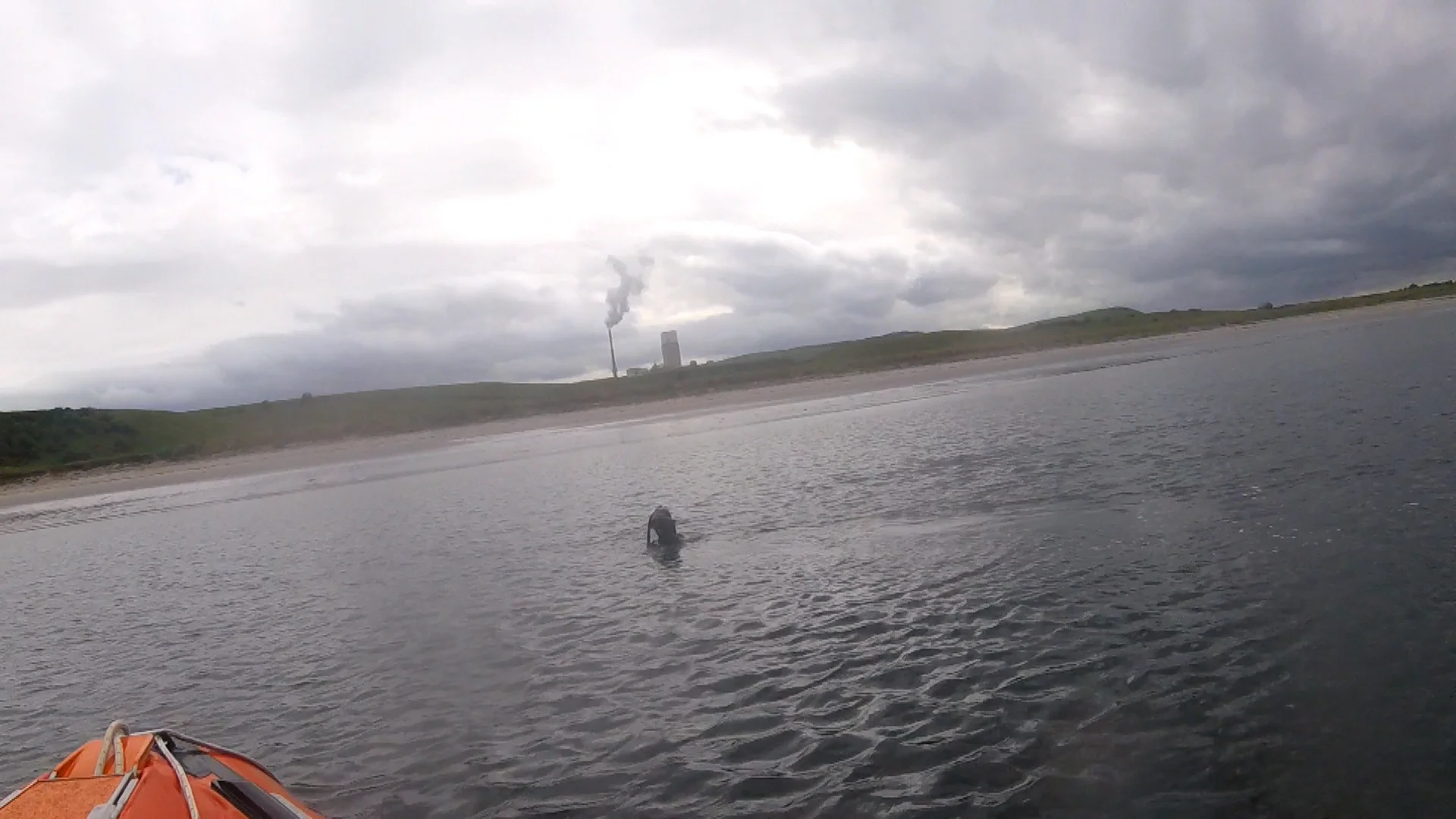 19 05 30 spearfisher 2.jpg