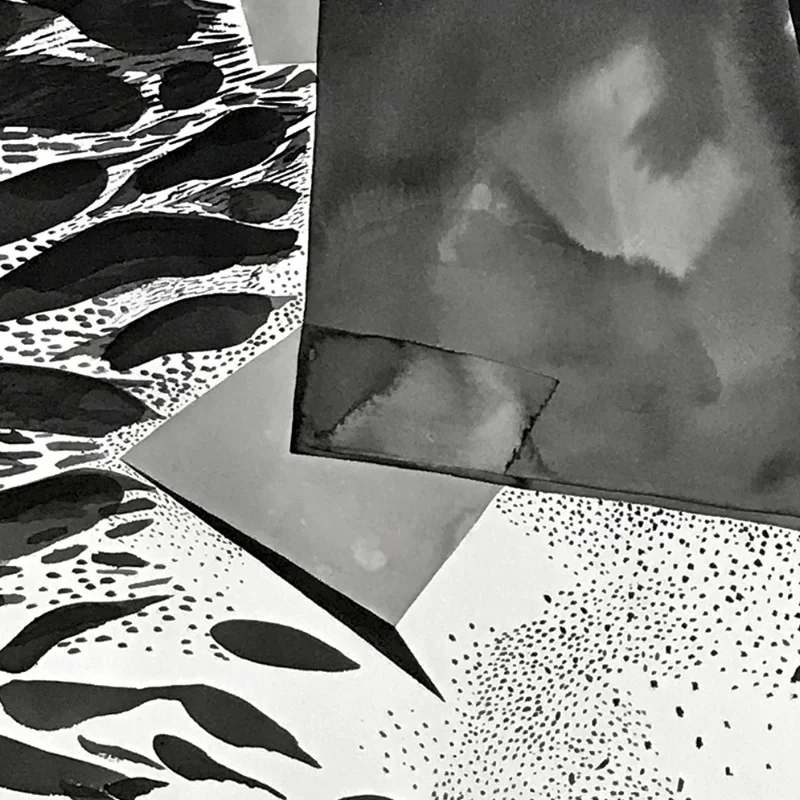 B&W-detail1.webp
