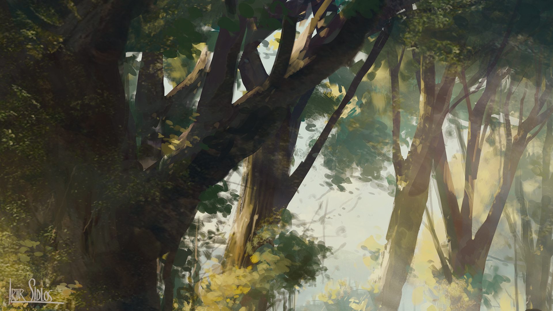 008_wip-015_crop004.jpg