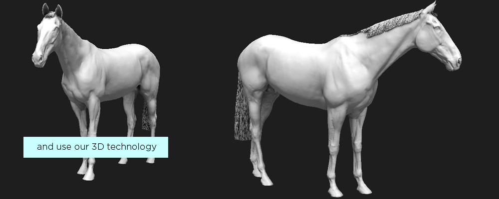 Horse 3D scan