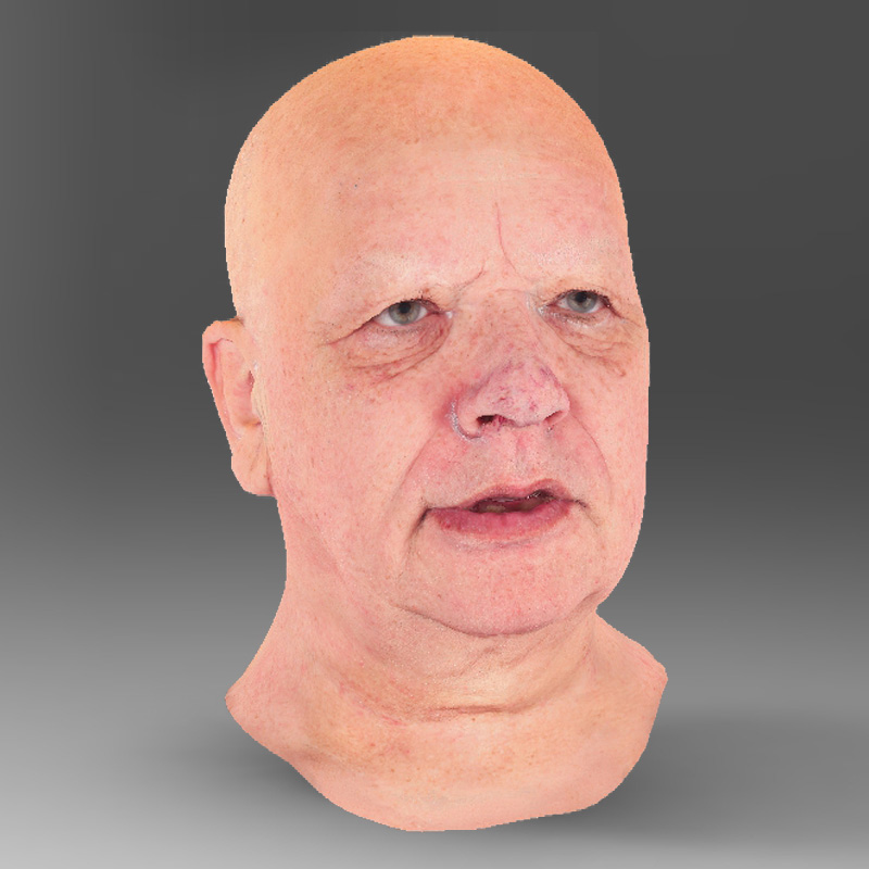 Head 3D scan demo download