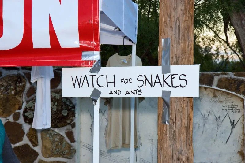 signage snakes.jpg