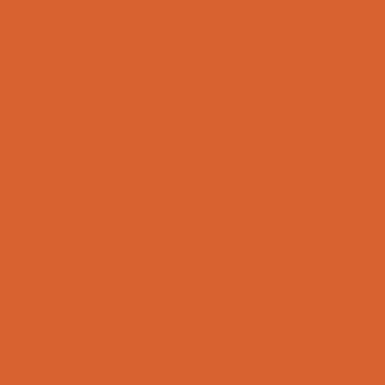 orange 2.jpg