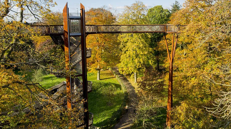 Kew+Gardesn+tree+top+walk.jpg