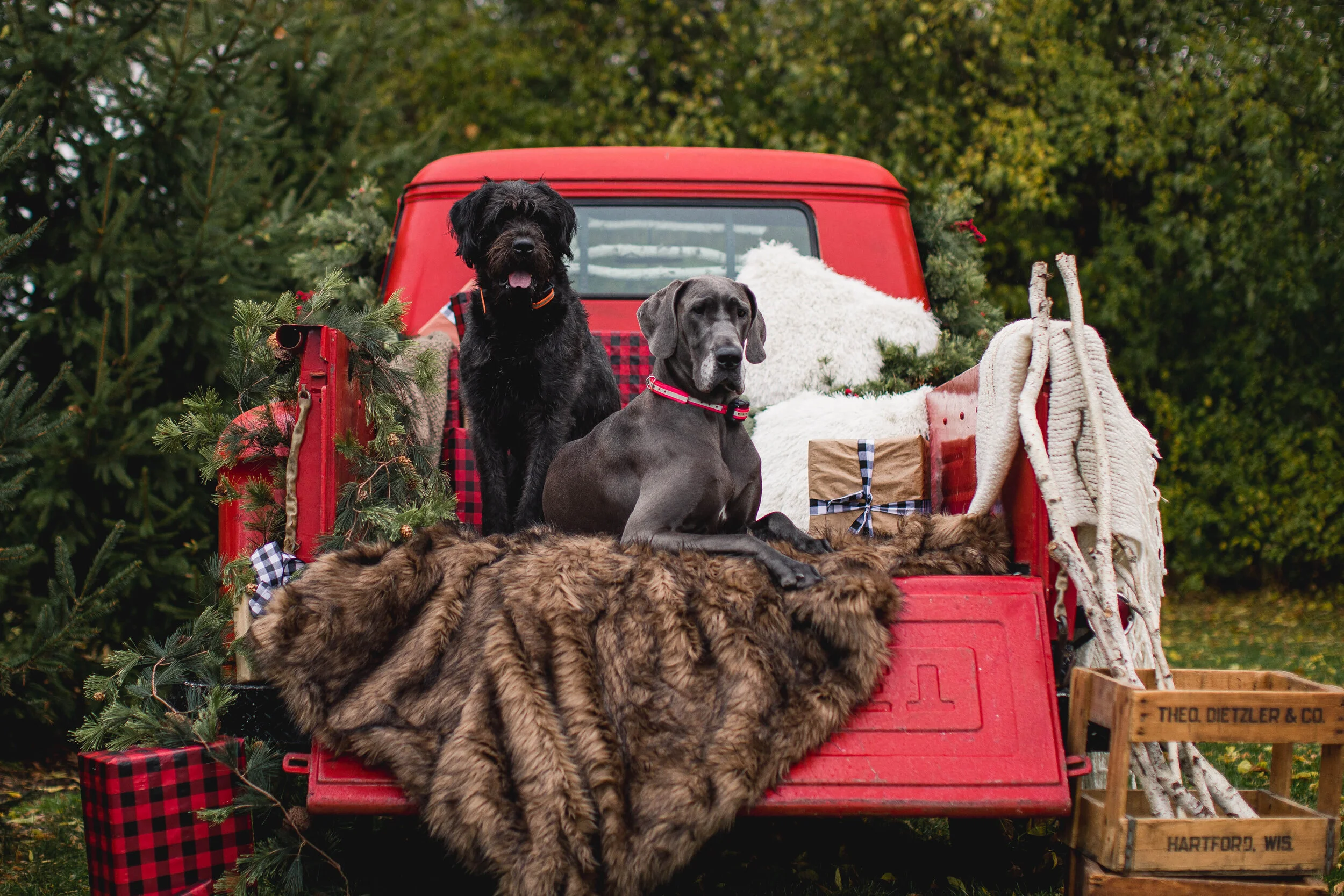 Vintage Truck Mini Session