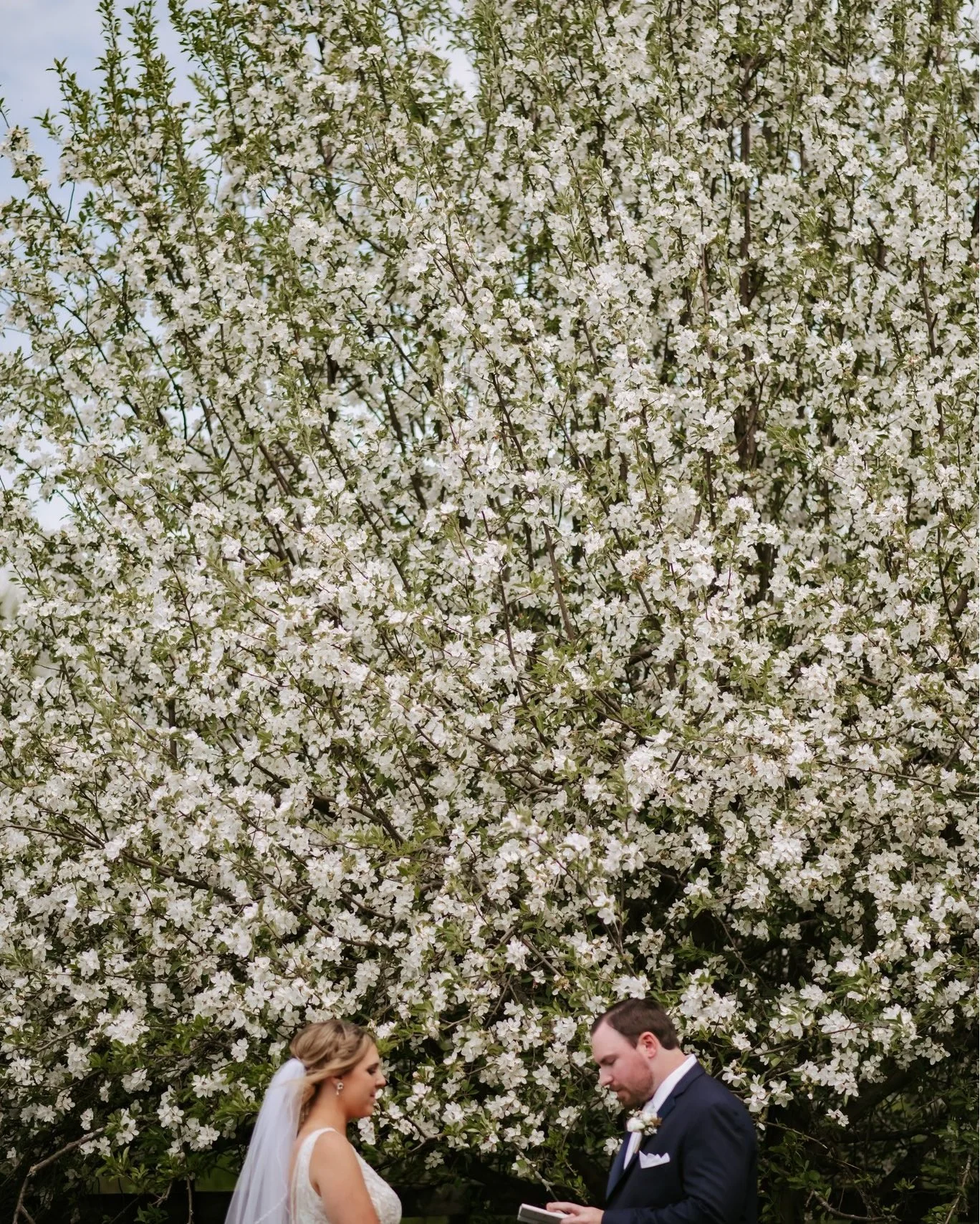 It is true, April showers certainly bring us May flowers 🌸

.

.

.

📸 : @casandraholenphoto