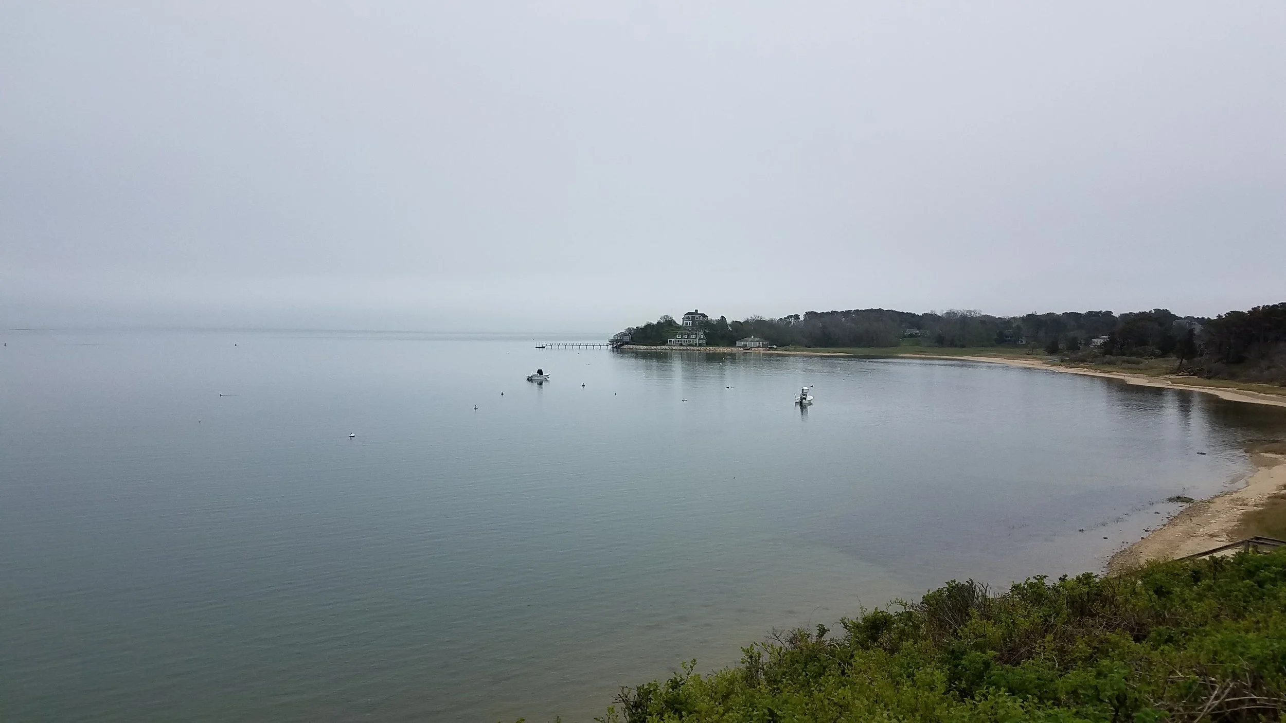 20180517_145343.jpg