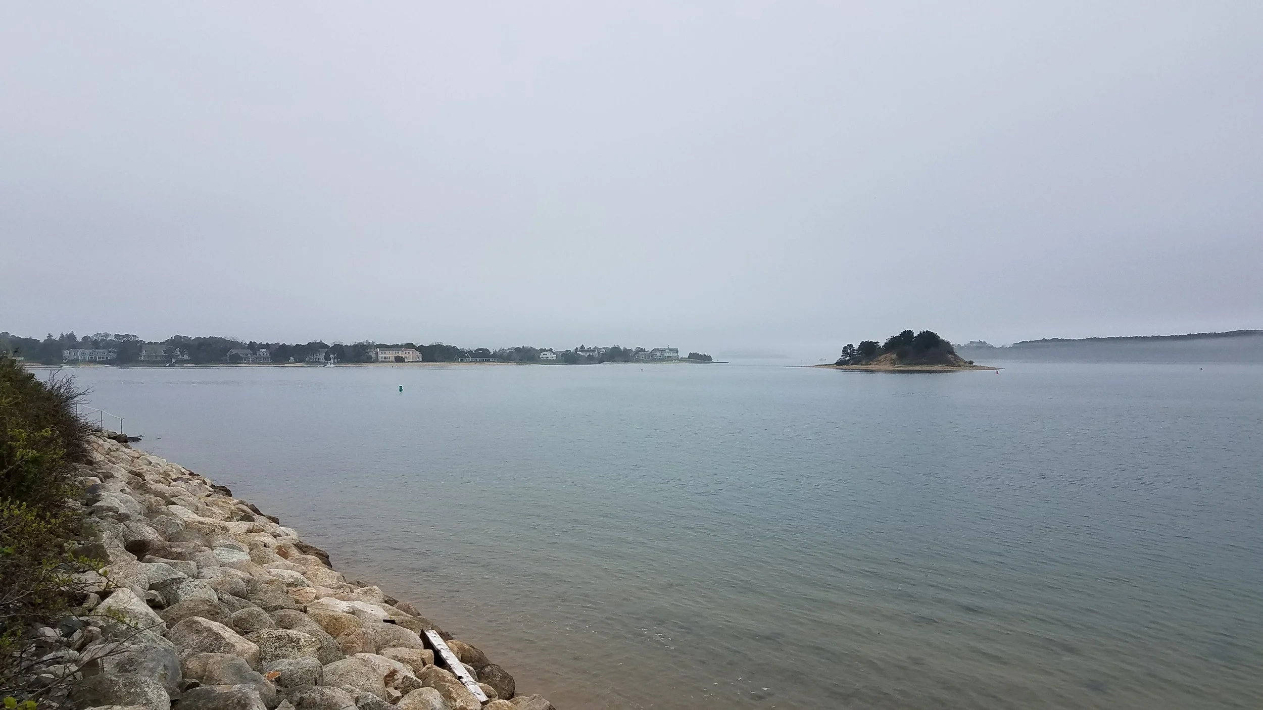 20180517_151137.jpg