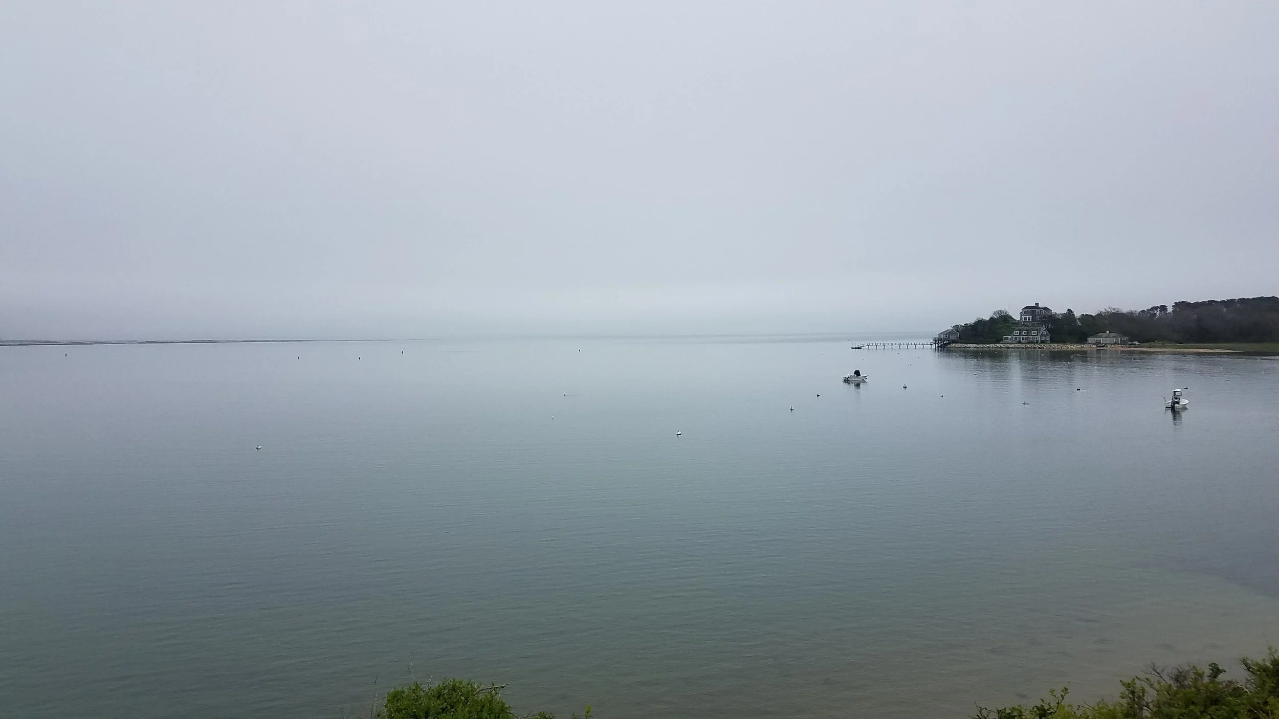 20180517_145344.jpg