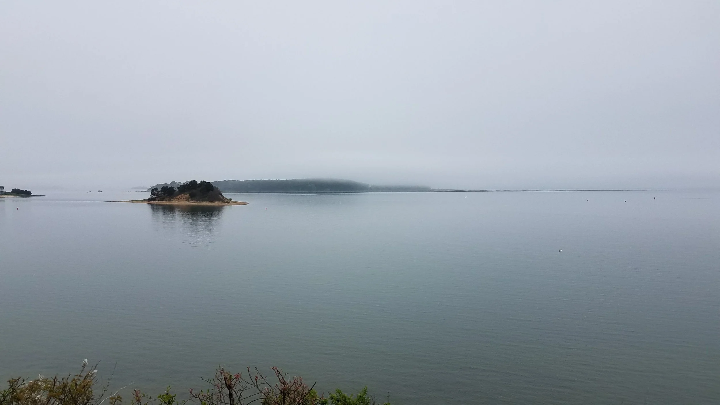 20180517_145346.jpg