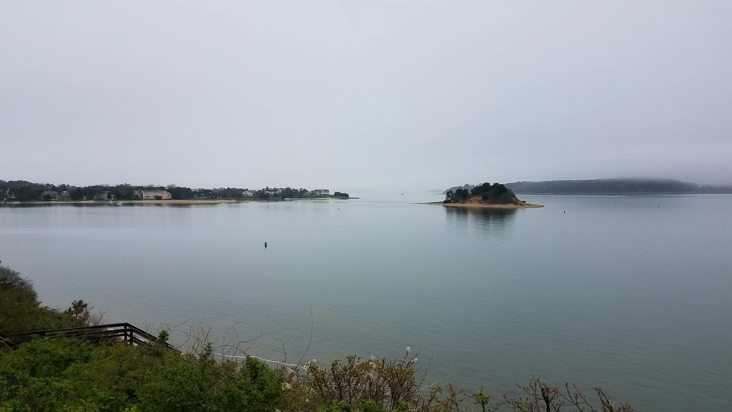 20180517_145347.jpg