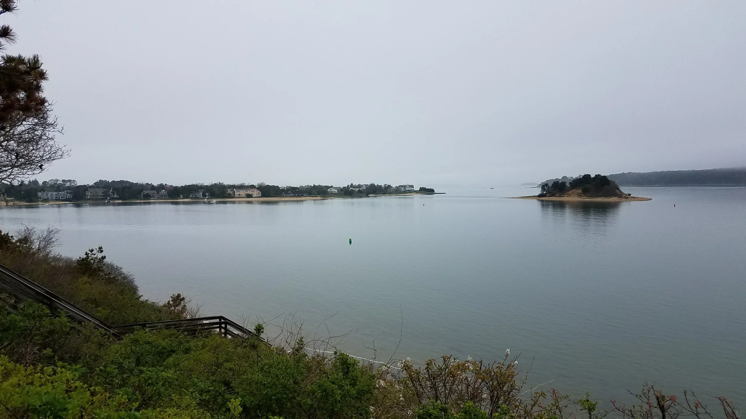 20180517_145348.jpg