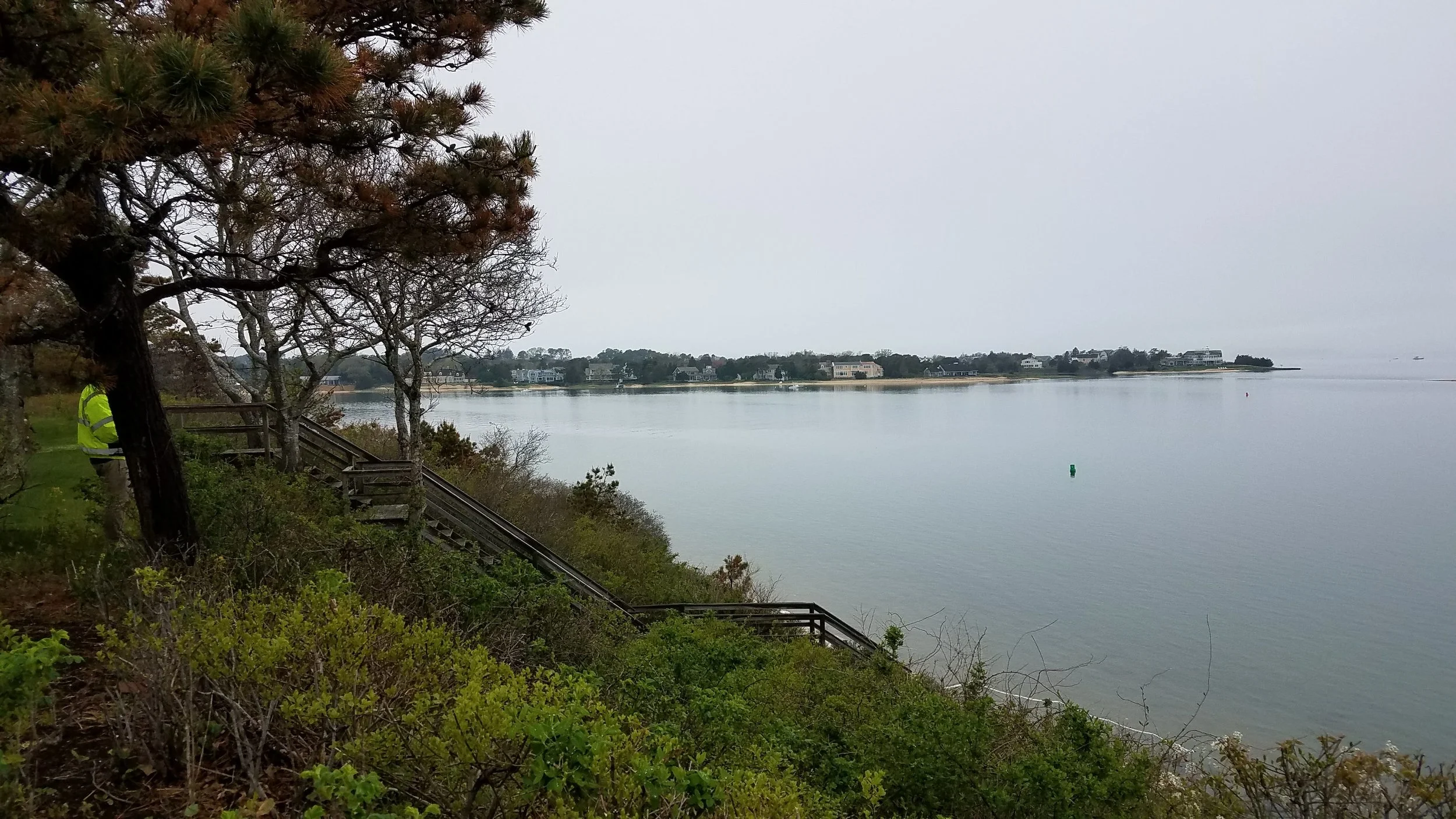 20180517_145349.jpg