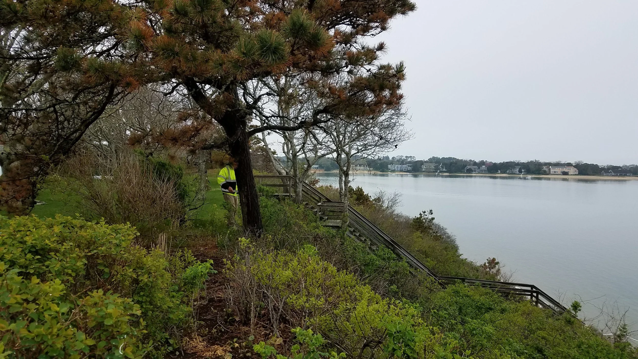 20180517_145350.jpg