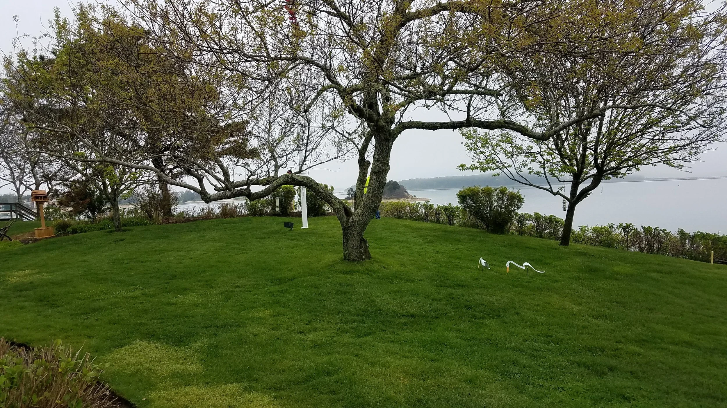 20180517_145421.jpg