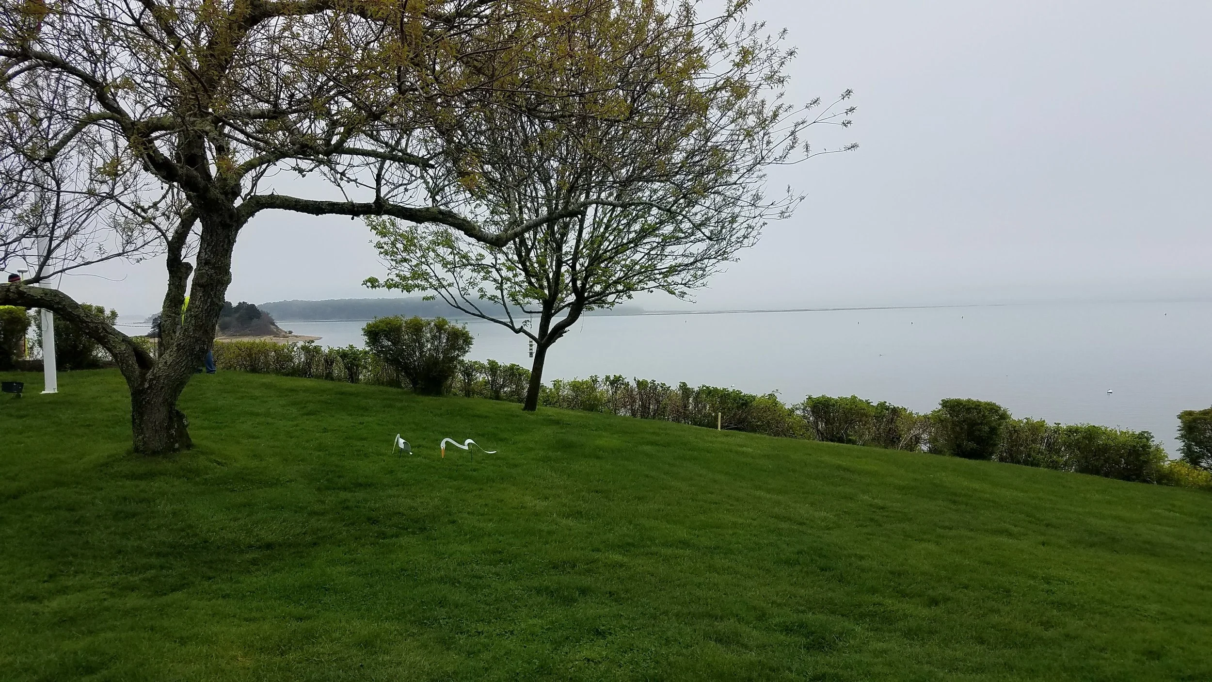 20180517_145422.jpg