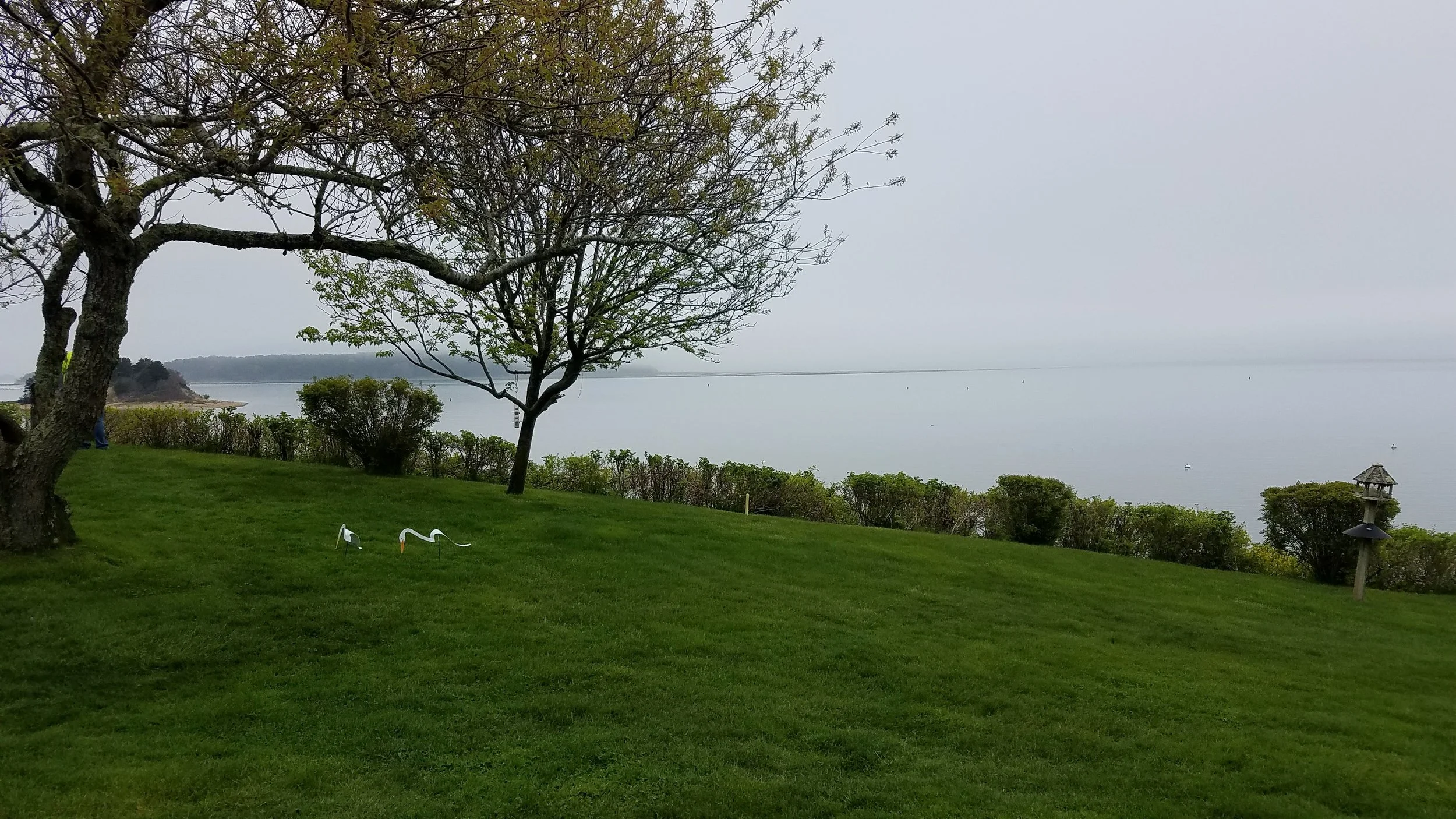 20180517_145423.jpg