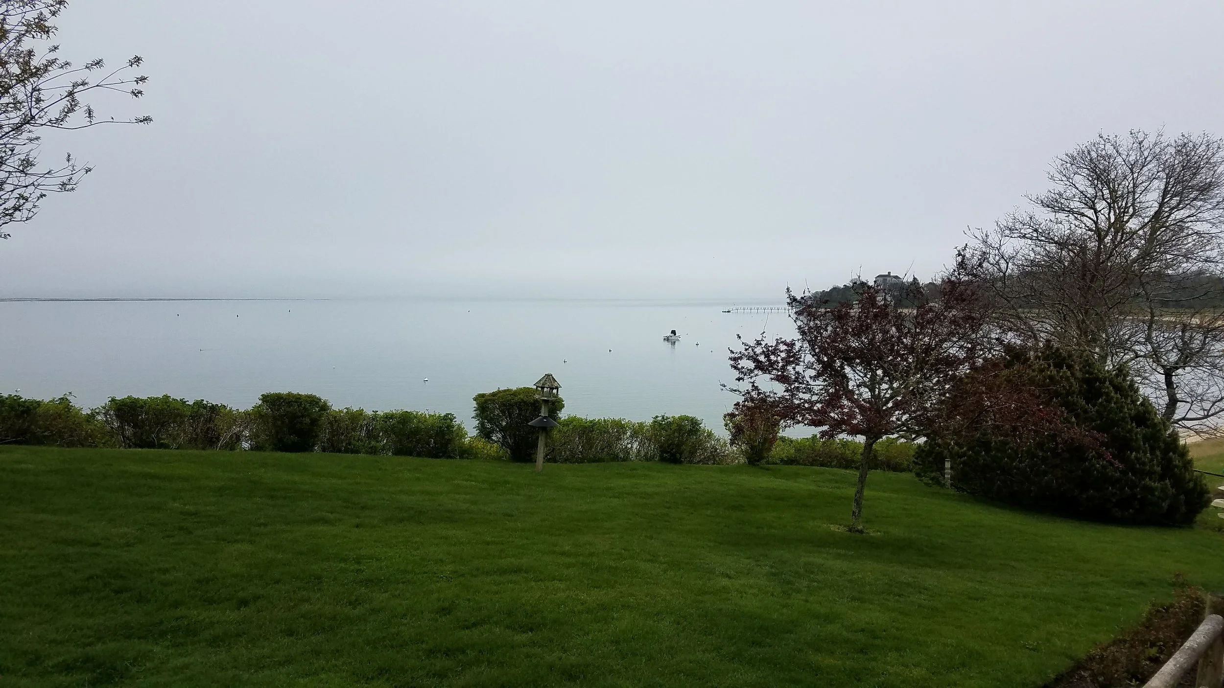 20180517_145424.jpg