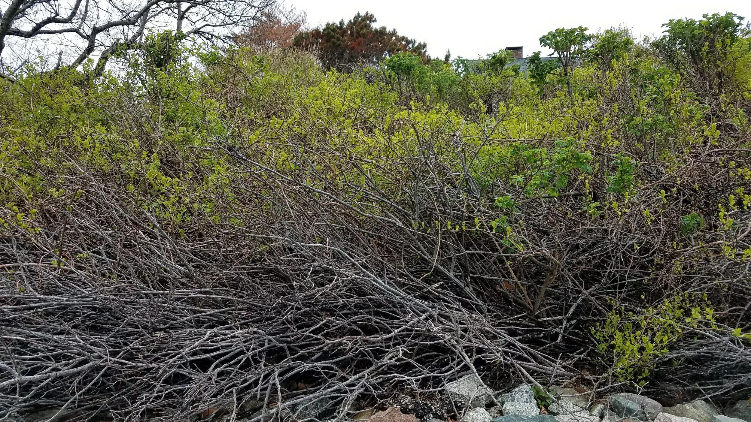 20180517_145552.jpg