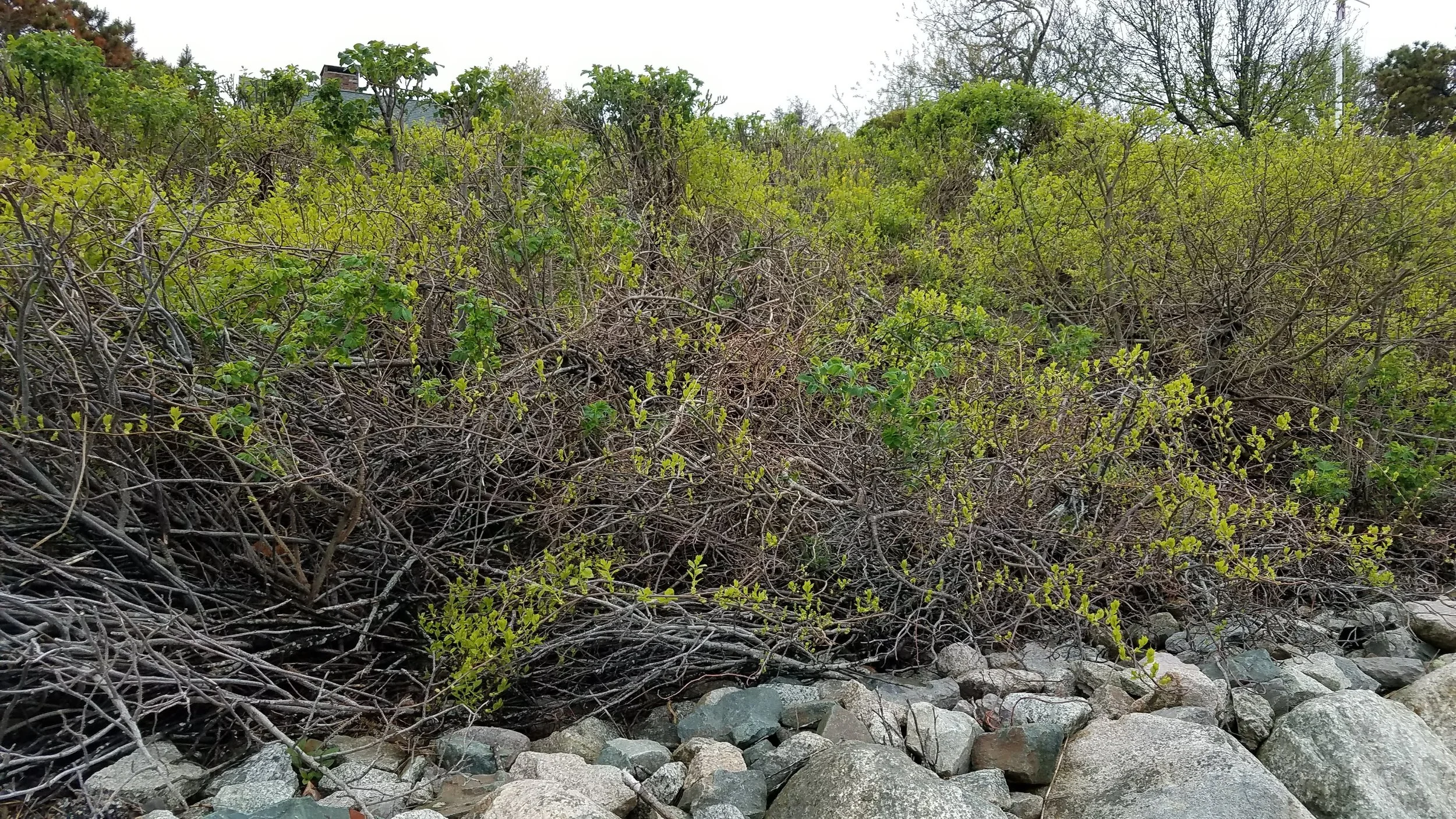 20180517_145554.jpg