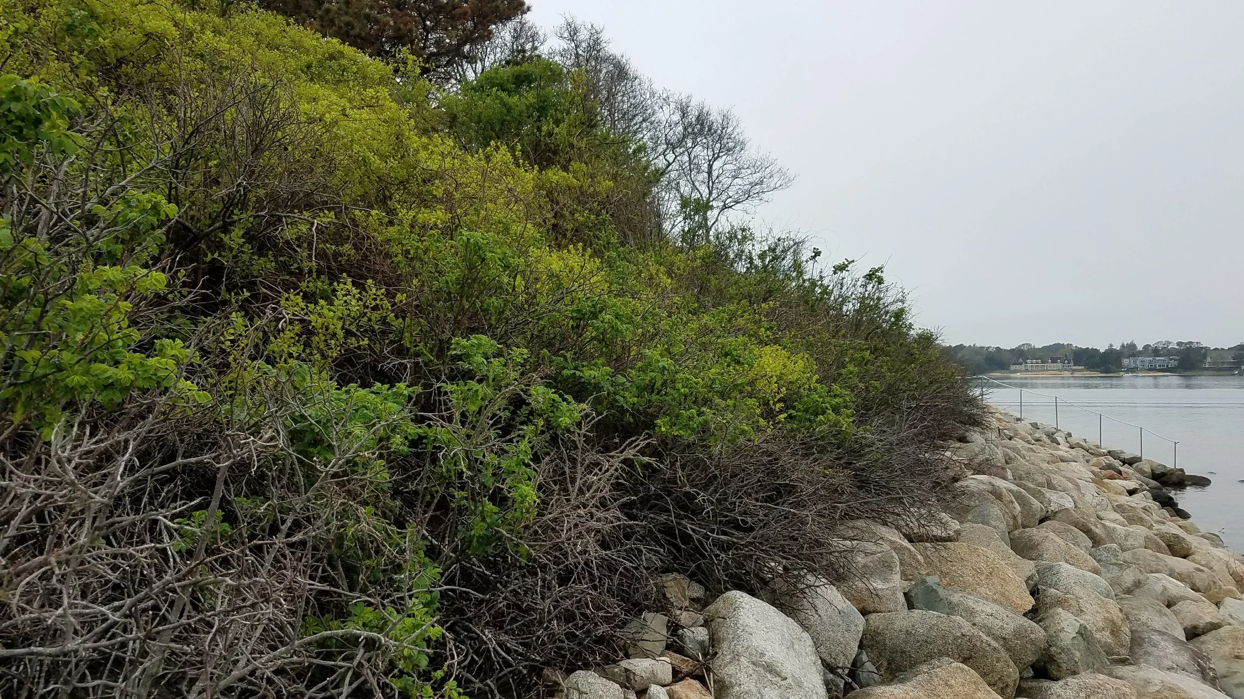 20180517_145629.jpg