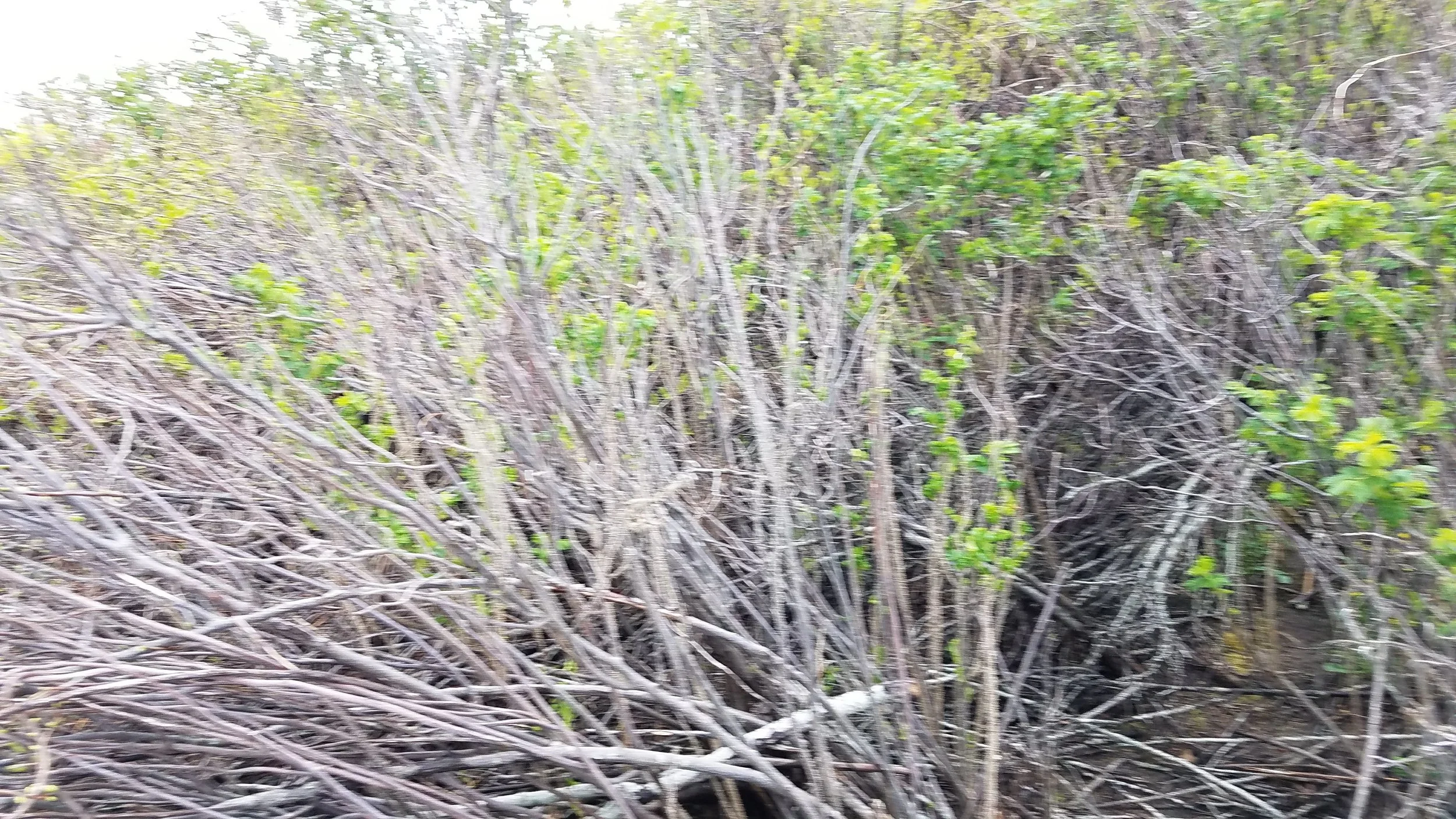 20180517_145631.jpg