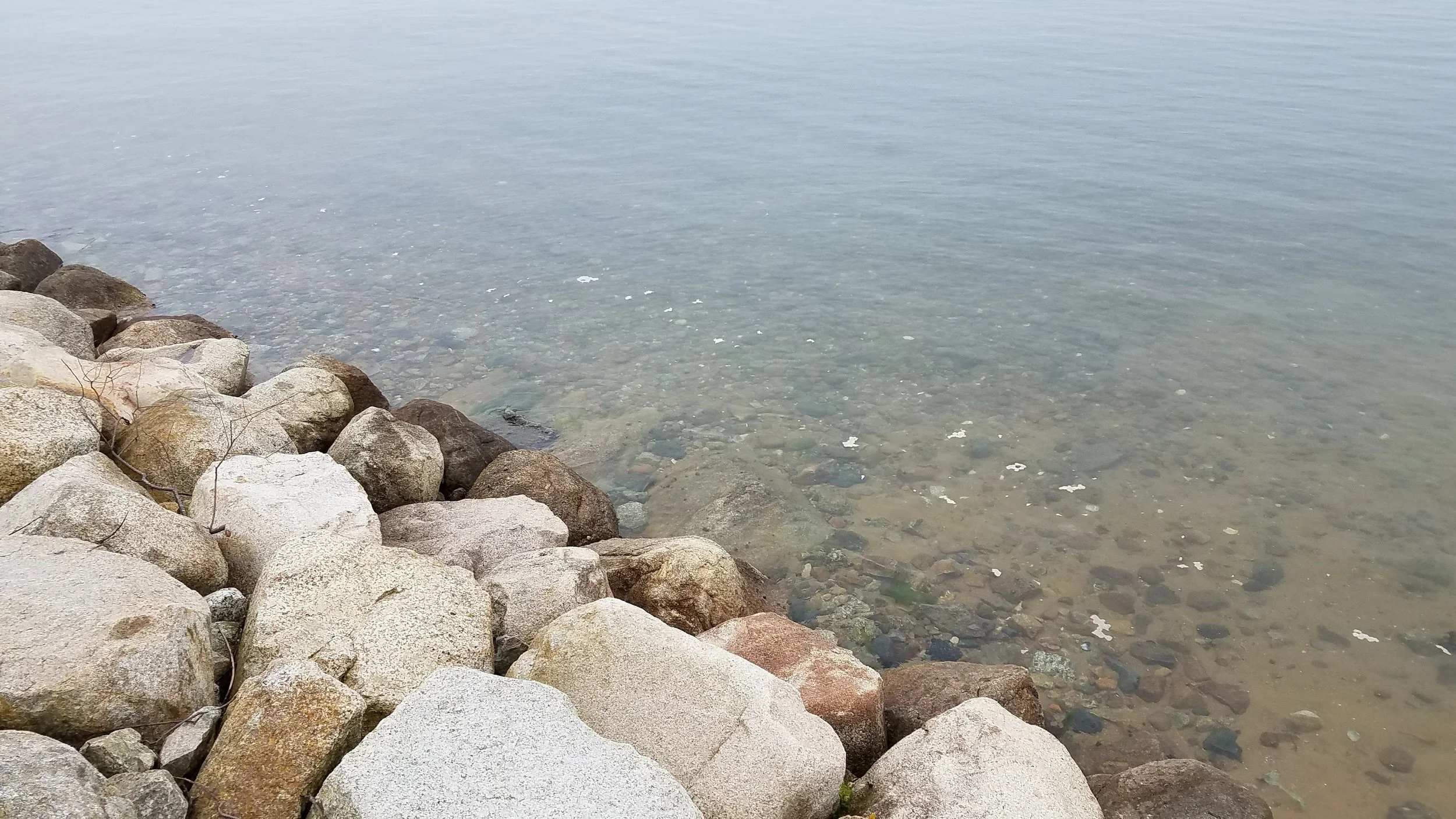 20180517_145705.jpg