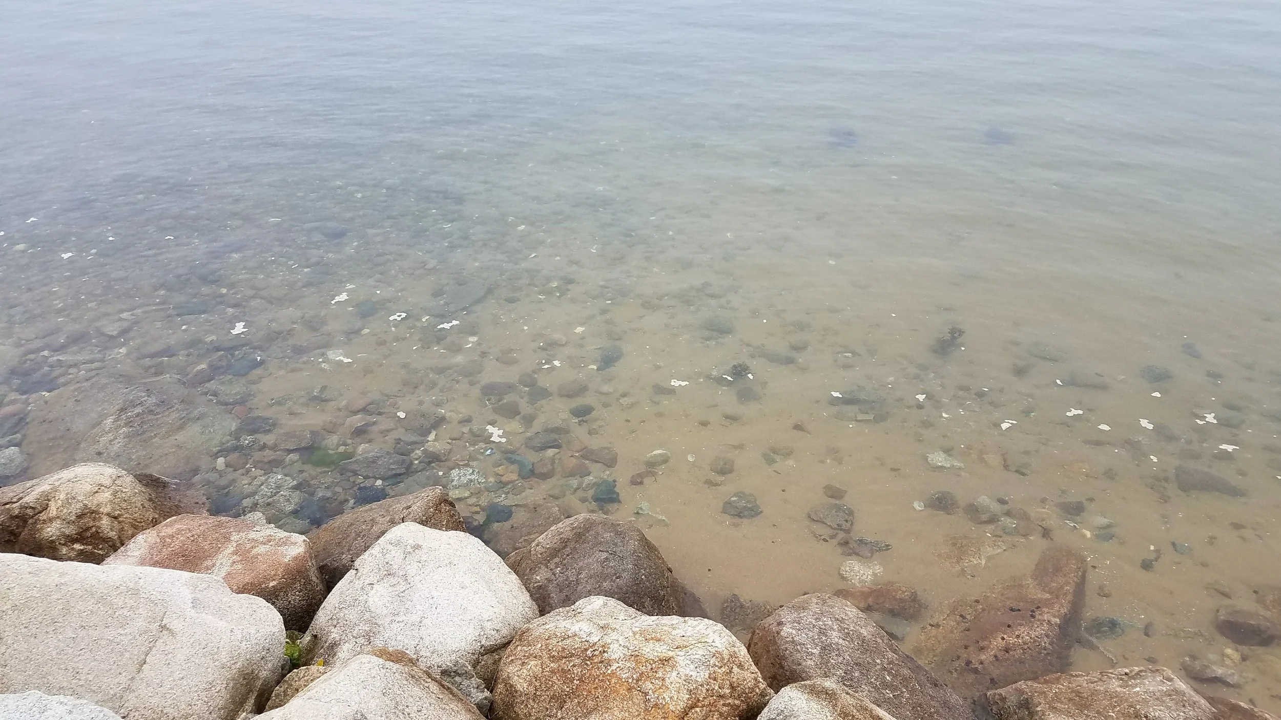 20180517_145706.jpg