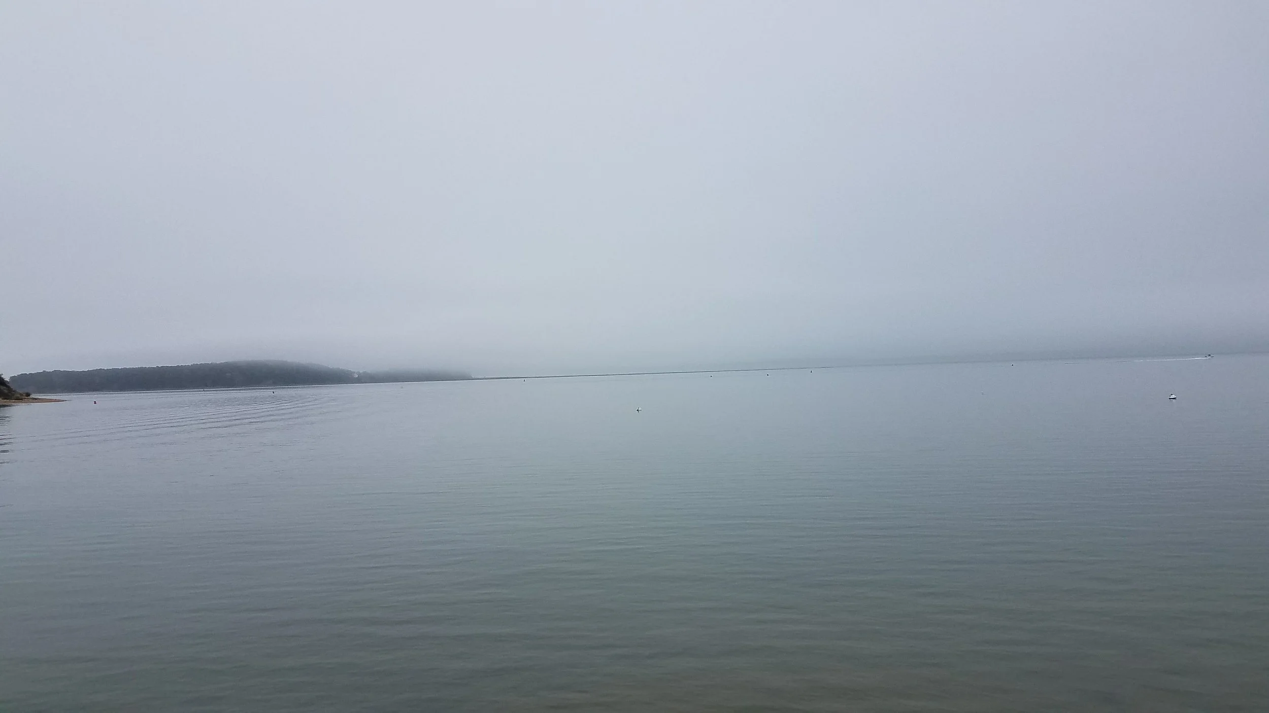 20180517_145709.jpg