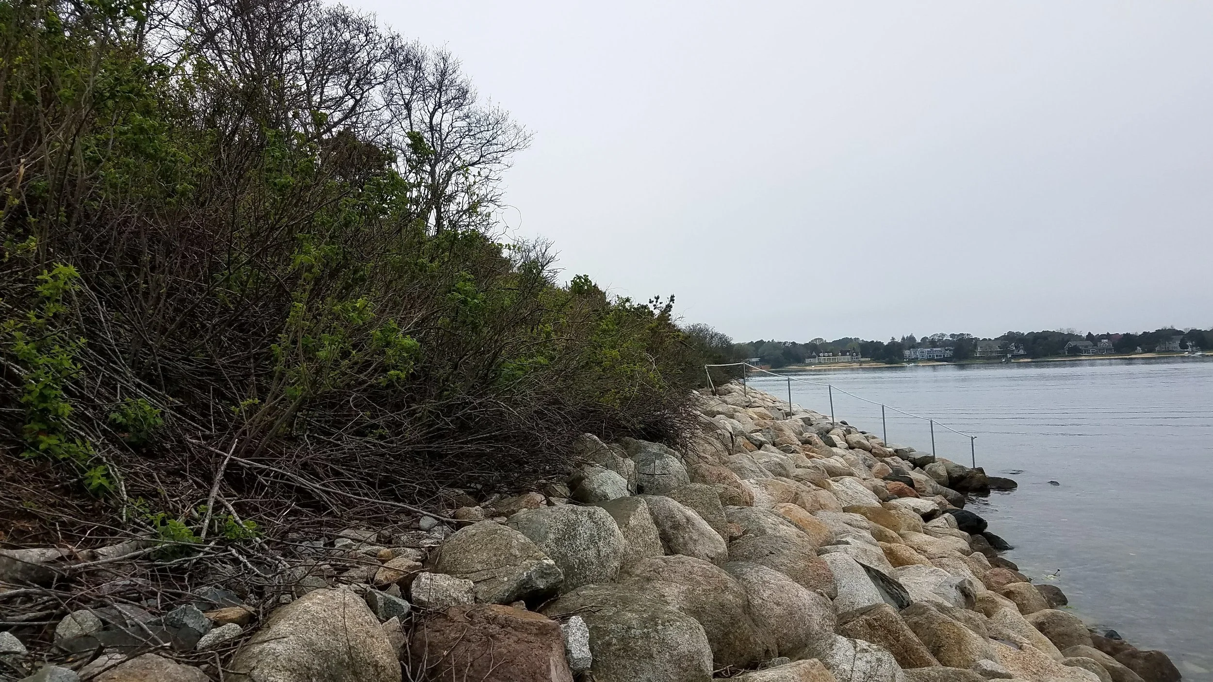 20180517_145711.jpg