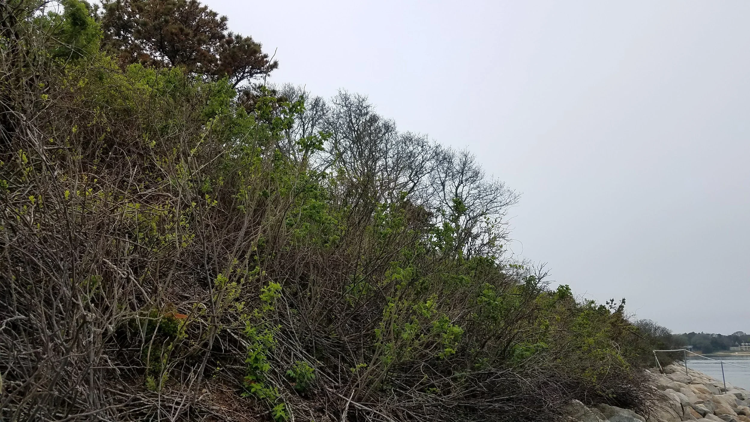 20180517_145712.jpg