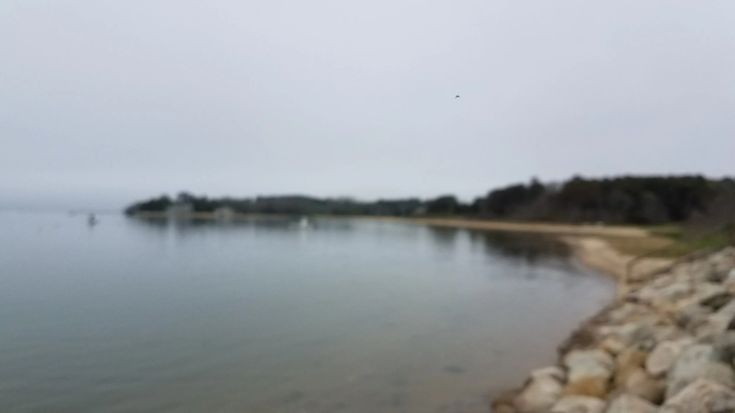 20180517_145715.jpg