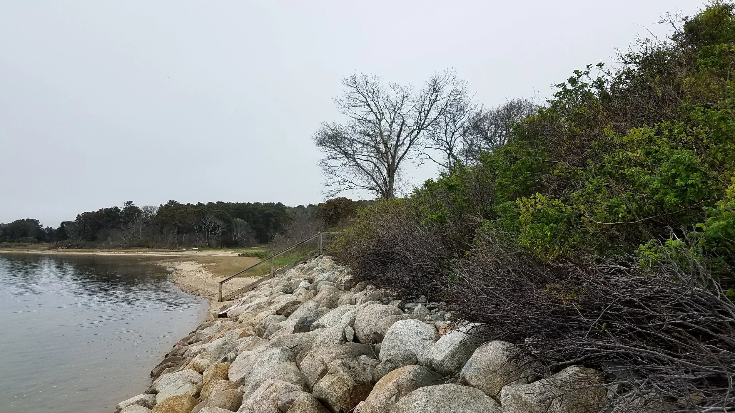 20180517_145716.jpg