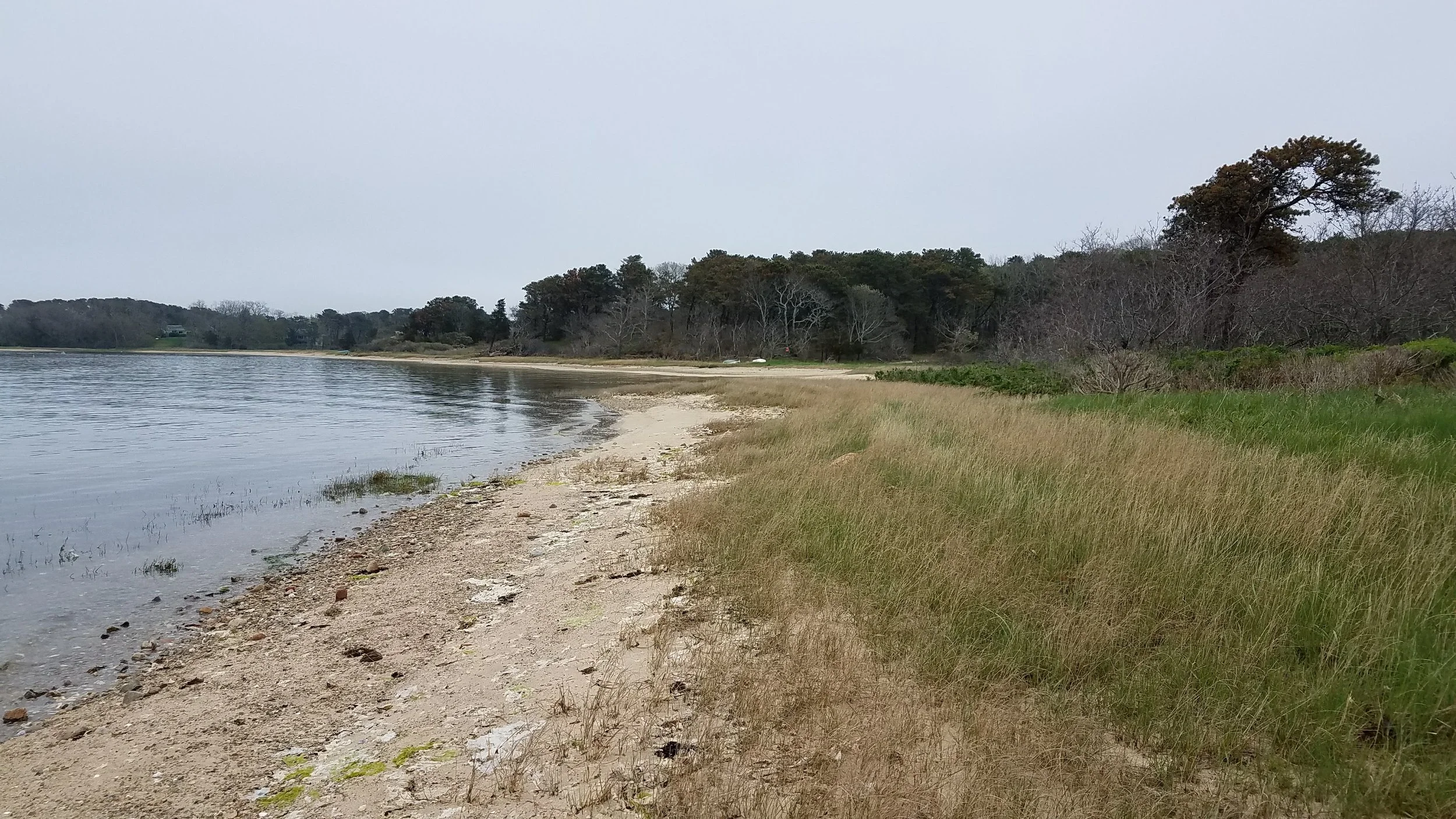 20180517_145826.jpg
