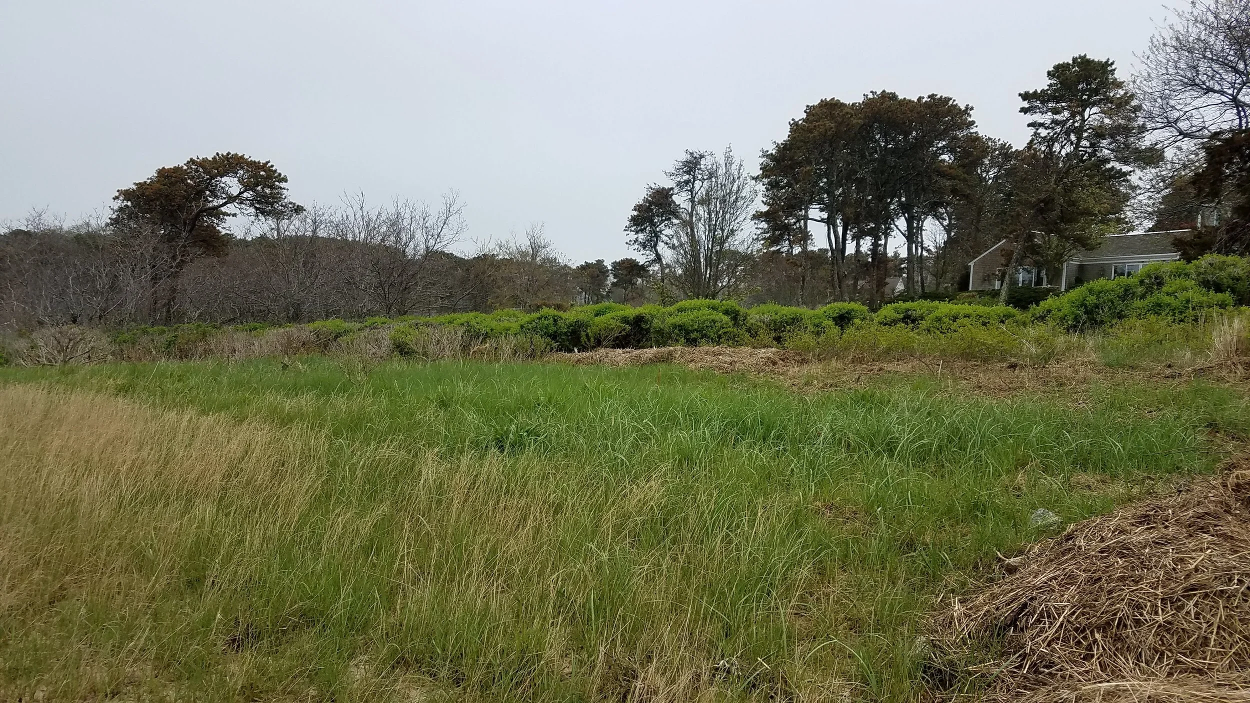 20180517_145827.jpg